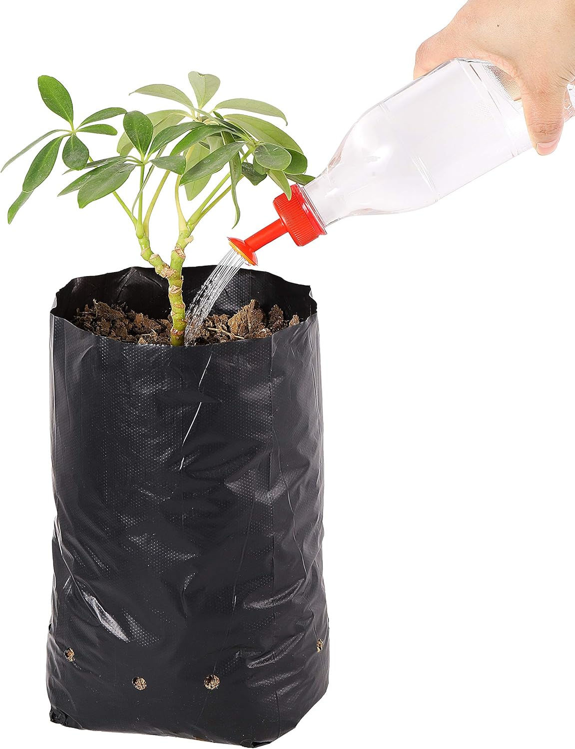 100 Pcs Nursery Growing Bags Seedling Starter Bags with 30 Plant Labels & 2 Mini Watering Sprinklers,Plant Grow Bags Plants Pots Plastic Pouches for Garden Trees,Flowers, Vegetable(7.5X3.8X2.6 Inch) image number 3