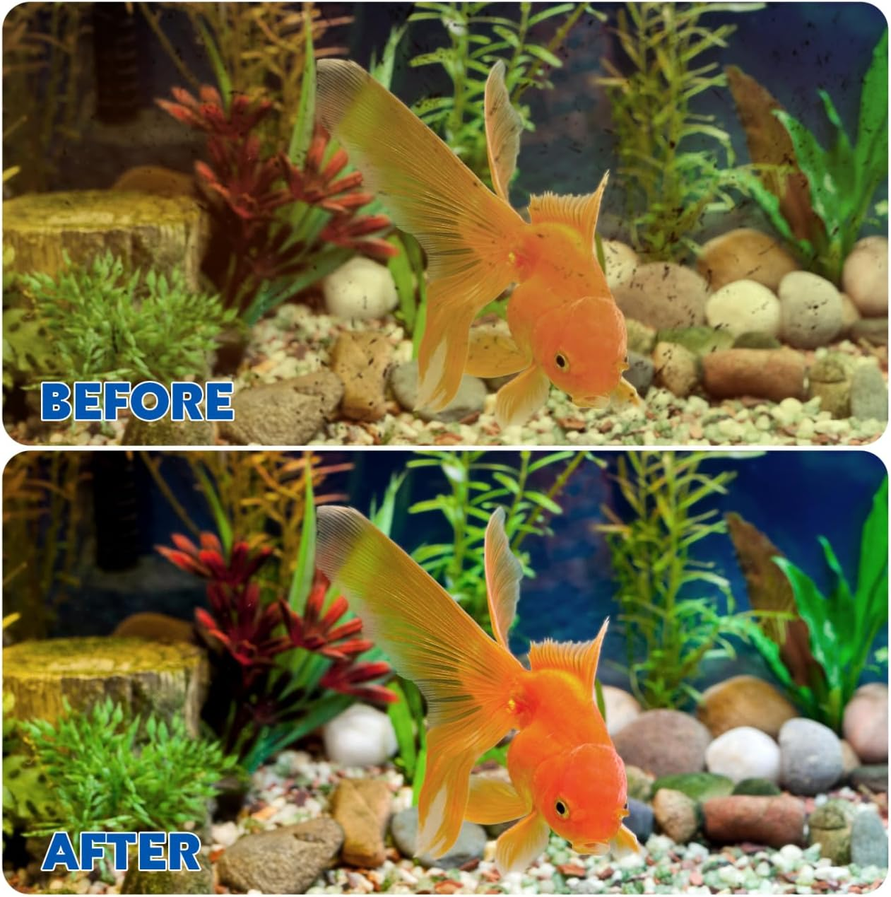 Garneck 20L Aquarium Filter Floss and Sponge Pad Set - Fish Tank Filter Media for Optimal Filtration 1M X 30Cm for Freshwater and Saltwater Aquariums image number 4