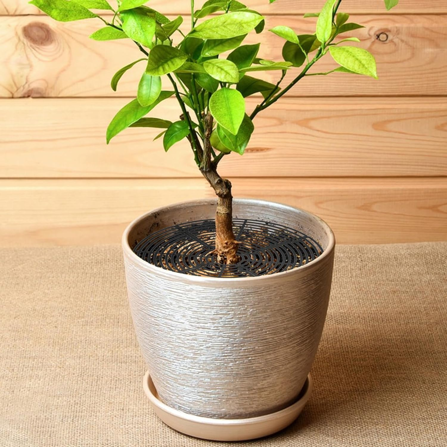 Chris.W 2 Pcs Plant Pot Grid with 16 Stakes, 11.8 Inch Plant Pot Soil Covers Protectors, Plant Pot Cover Plant Protector from Animal, Cuttable Soil Protector for Plants (Black) - Black image number 4