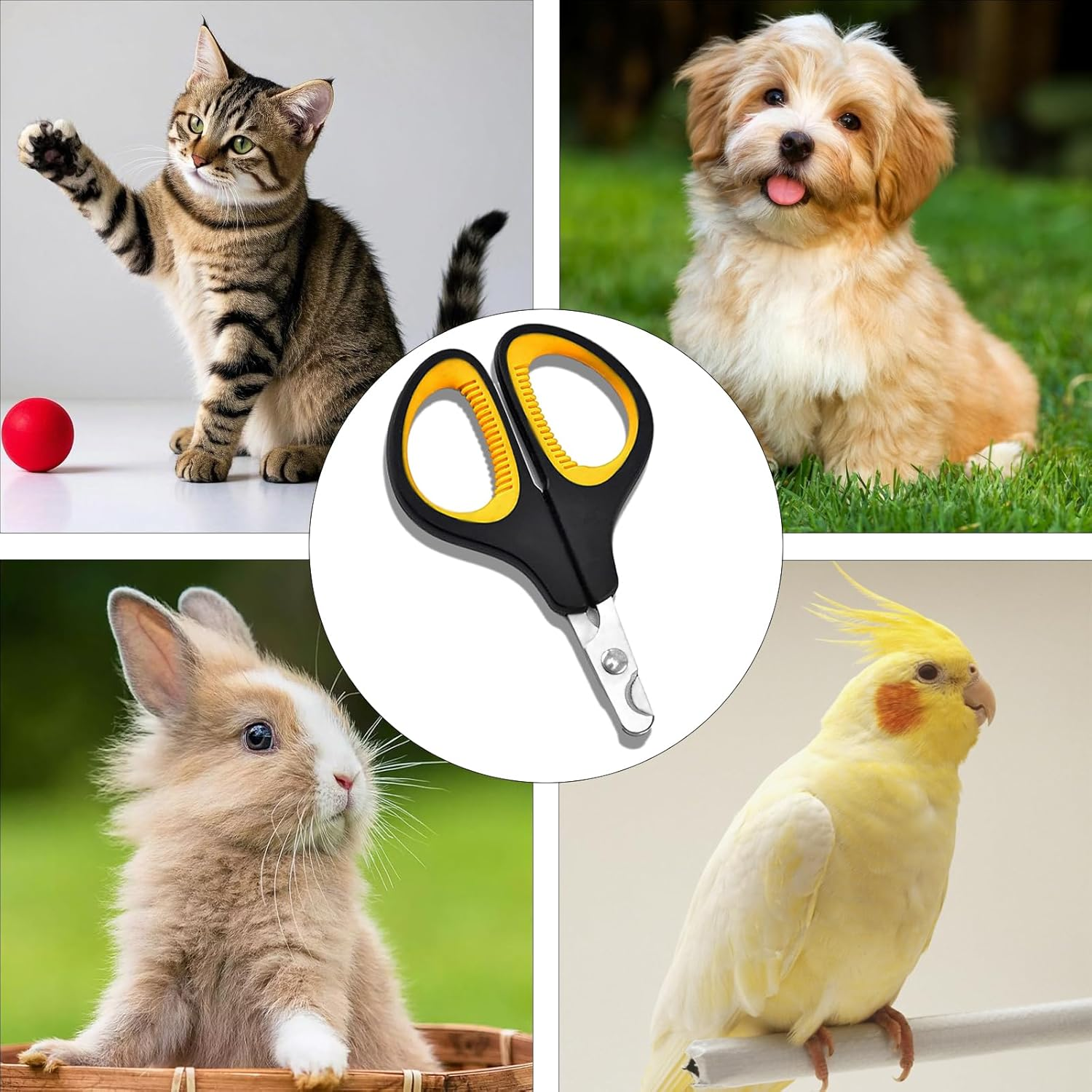 Luojinluoda Cat Nail Clippers, Cat Claw Clippers & Cat Nail Cutters - Safe Small Dog Nail Clippers, Pet Nail Clippers for Puppies, Kittens, Birds, Rabbits, Hamsters, Ferrets, Hedgehogs & Small Animals