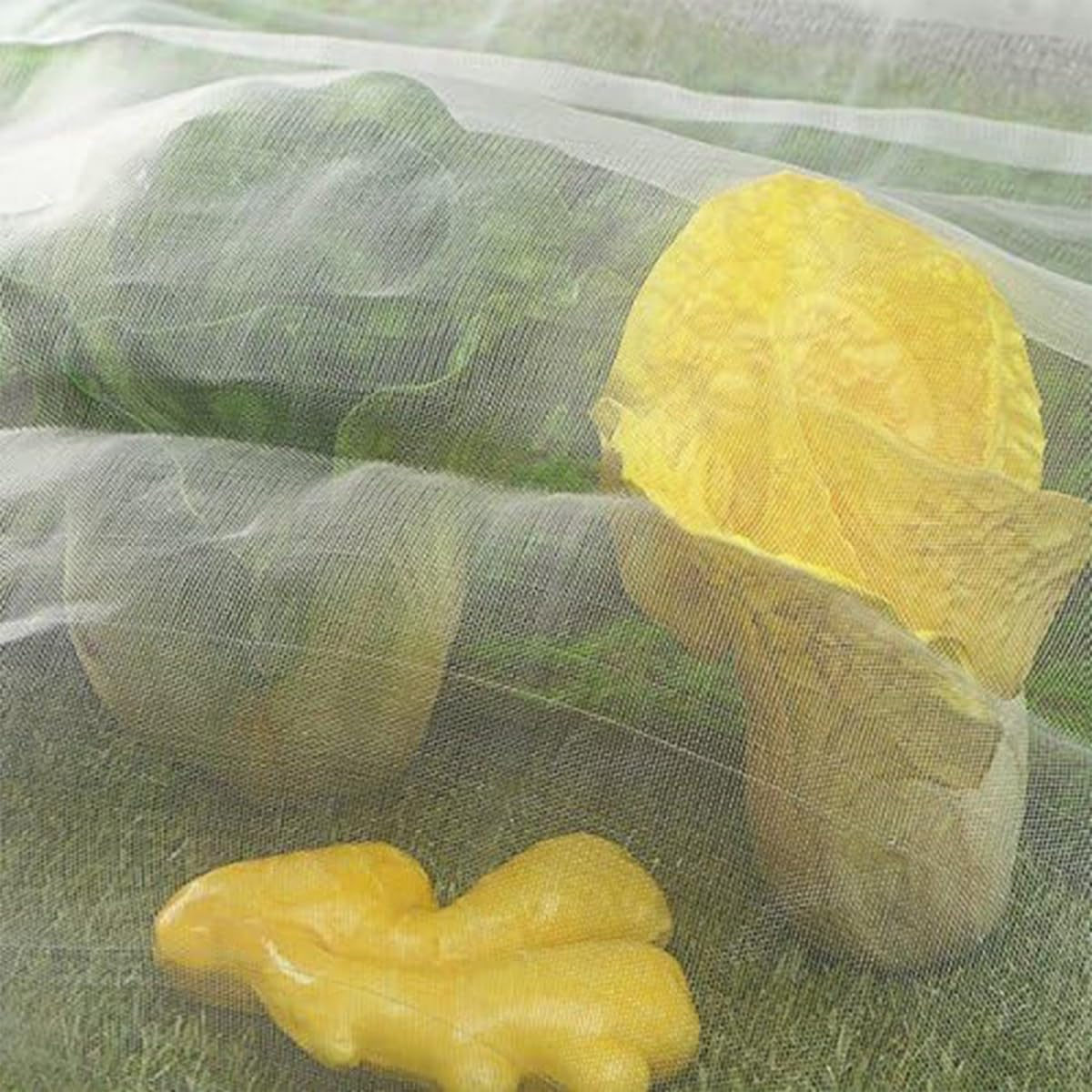 AIMALL Plant Protection Net for Vegetable and Fruit Trees, Insect-Proof Agricultural Cover Gauze Net for Greenhouse, Orchard, and Vegetable Garden Protection, 3M X 6M/8M/10M image number 1