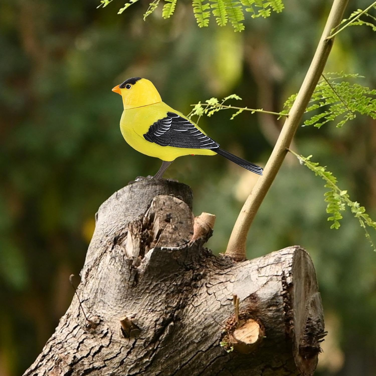 Electric Singing and Chirping Bird Toy, Motion and Sound Activated, Simulation Birds Making Sounds Interactive Toys Tree Ornaments, Pet Supplies Garden Decorations for Kids Toys - Abd03 image number 3