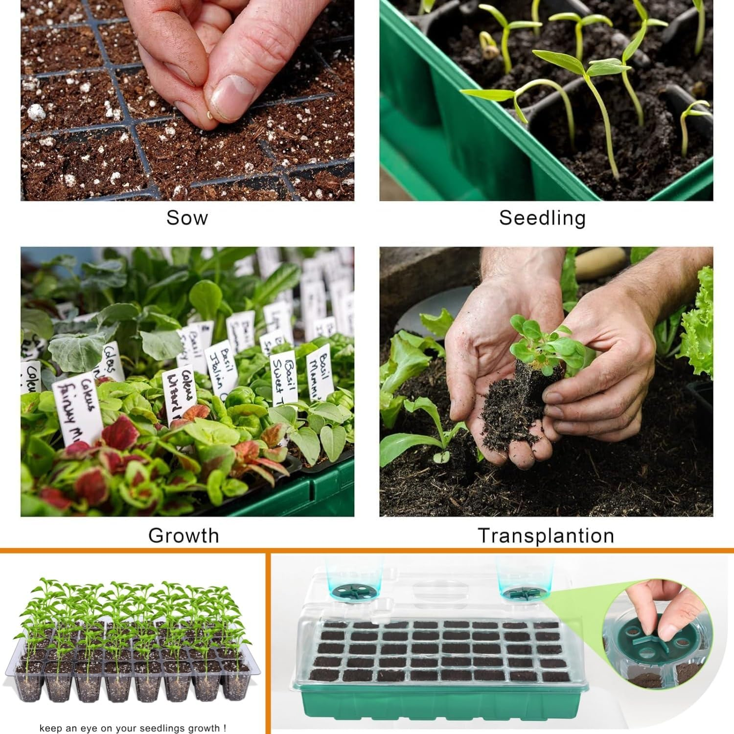 4-Set Seed Starter Tray Kits with Dome and Base - 40-Cell Garden Plant Germination Trays, Seedling Tray, Cell Humidity Adjustable Seed Starting Kit,Greenhouse Germination Growth Tray image number 6