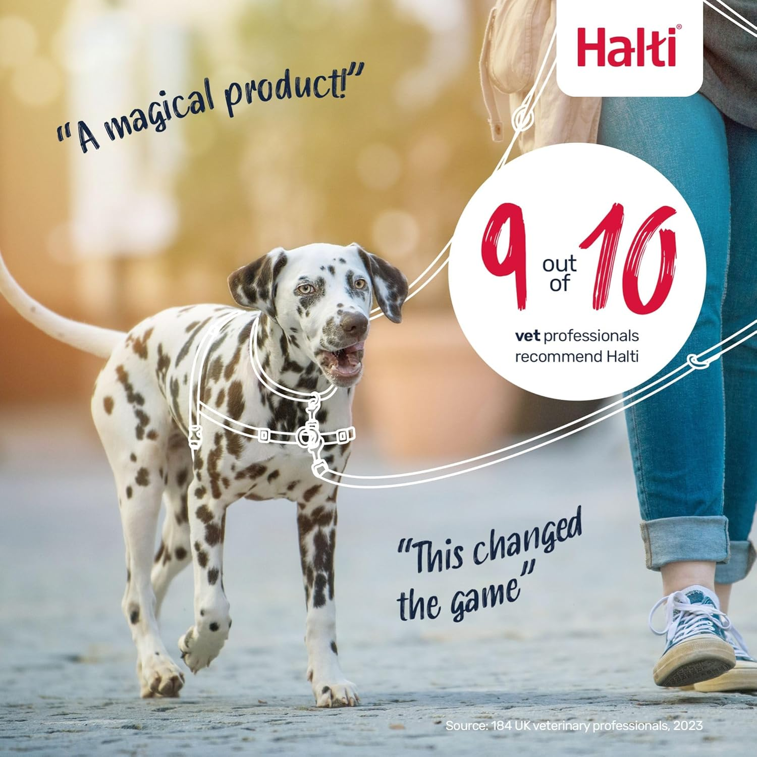 Company of Animals 42331 Halti Harness for Dogs, Medium, Black/Red image number 2