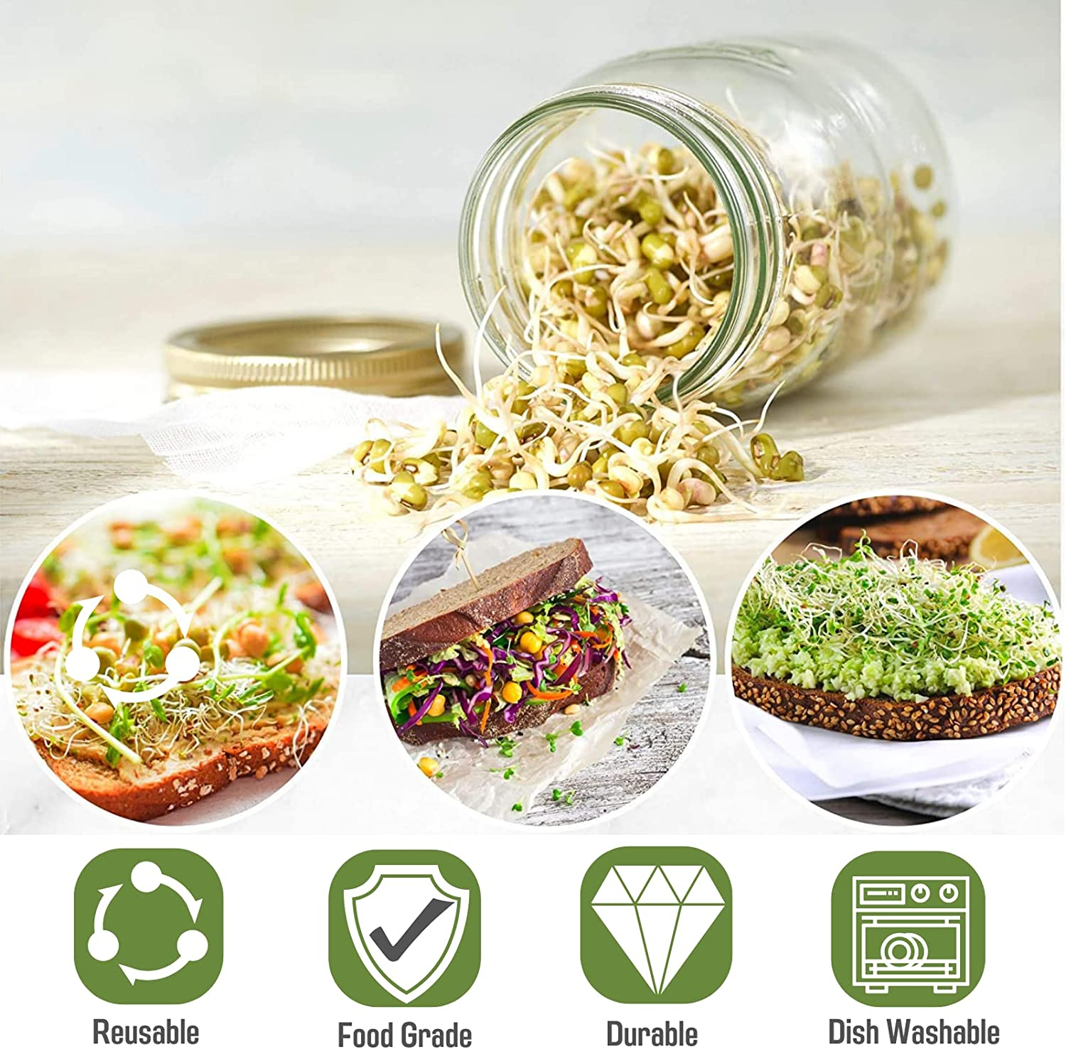 2 Pack Seed Sprouting Jar Kit- 1L Wide Mouth Quart Mason Jars with Sprout Lids, Sprouts Growing Kit Quart Sprouting Jars for Melamine Tray,Stand Seed Sprouter Set for Growing Broccoli image number 2