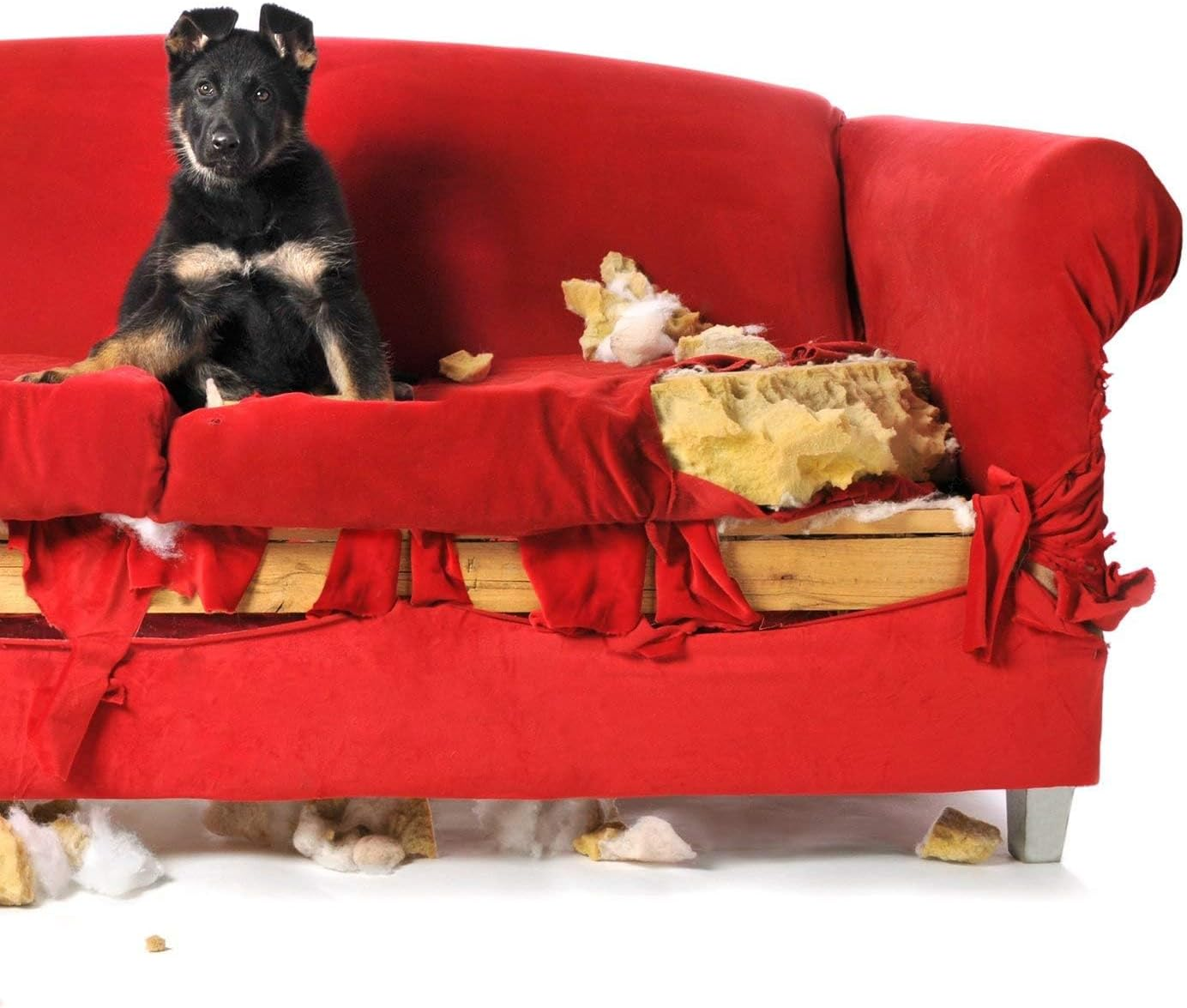 Simple Solution Chew Stopper, 500Ml - Discourages Unwanted Chewing, Bitter-Tasting Formula, Safe for Use on Furniture and Surfaces, Helps Protect Hot Spots and Stitches - Best for Puppies and Adult Pets