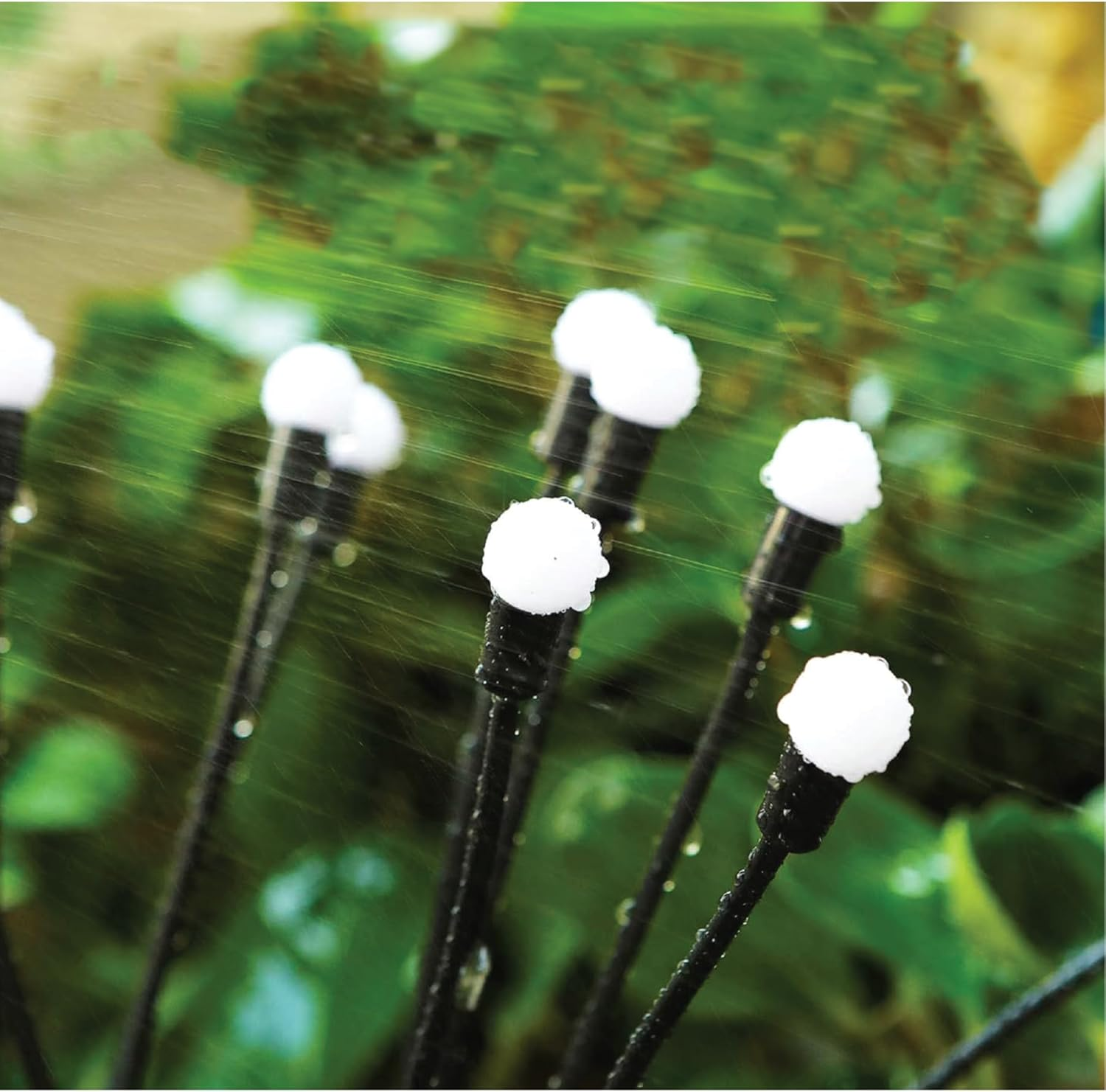 25Th Hour Solar Firefly Garden Lights Warm White