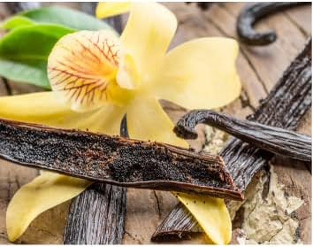 Premium Bourbon Vanila Beans Grade a - 3 Long Beans in Transparent Tube image number 1