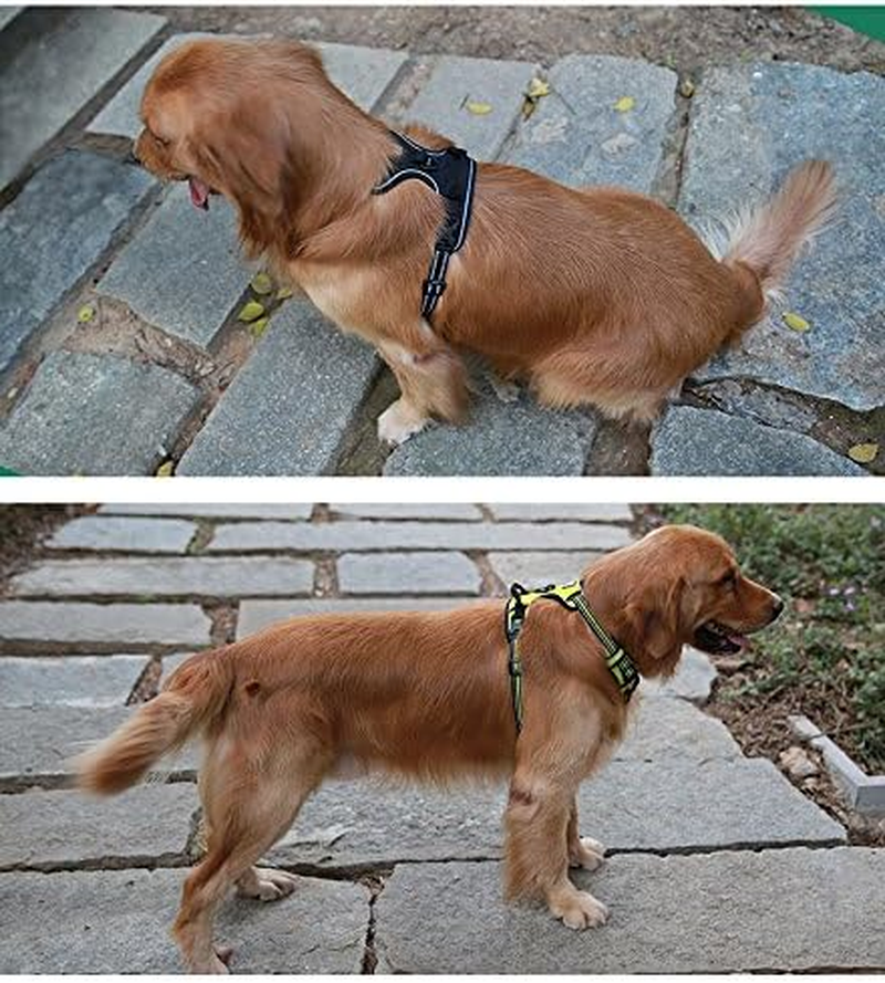 (Large, Purple) - JUXZH Soft Front Dog Harness .Best Reflective No Pull Harness with Handle and Two Leash Attachments image number 3