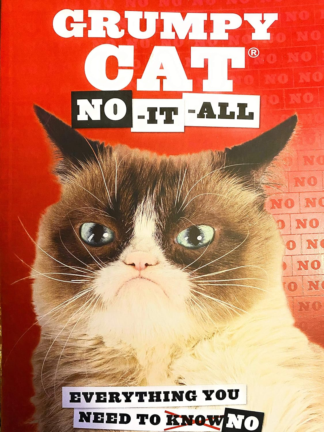 Grumpy Cat: No-It-All: Everything You Need to No image number 1