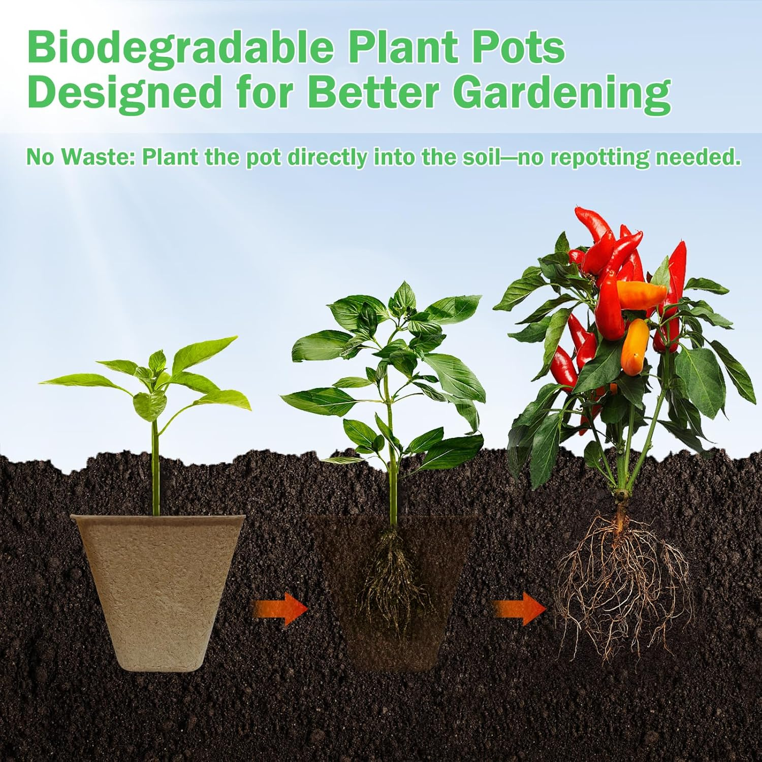 Doubleggs 150 Packs Square Peat Pots, 3.15-Inch Biodegradable Seed Starter Pots for Germination, Nursery Planting Trays with 100 Labels and 2 Transplant Tools image number 4