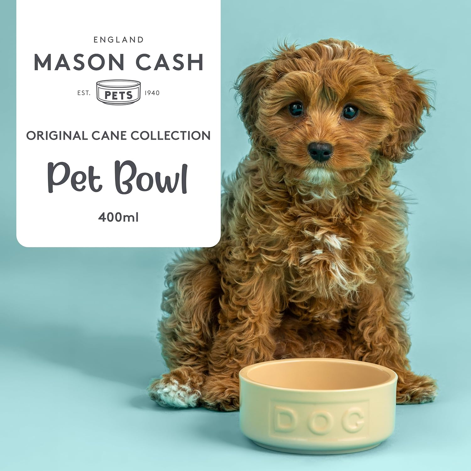 Mason Cash Cane Lettered Stoneware Dog Bowl, 400Ml, Beige 28483, White, One Size image number 5