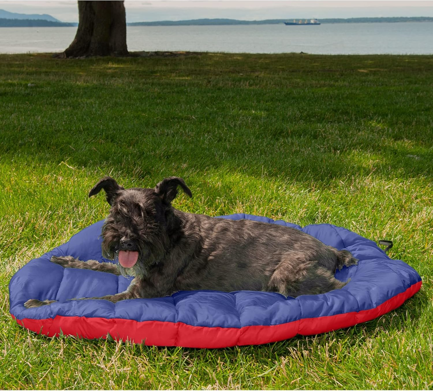 Furhaven Pet Dog Bed - Trail Pup Packable Outdoor Travel Pet Camping Pillow Bed Stuff Sack with Bag for Dogs and Cats, Flame Red and True Blue, Small image number 2