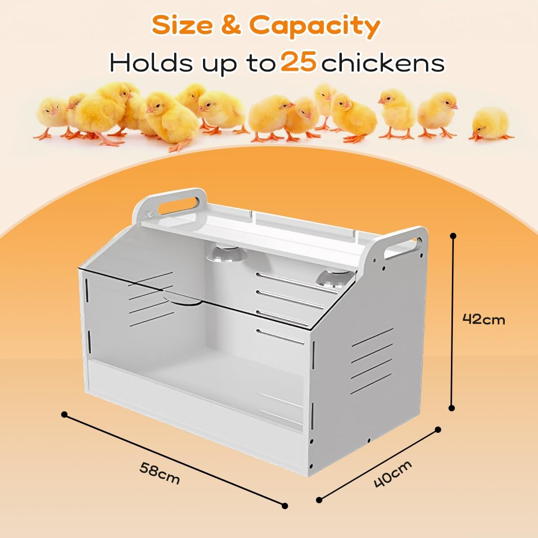 Heater Breeding Box Brooder for Poultry/Reptile/Parrots with Heating Lamp, Warms up to 20 Newborns Chicken, 48 Cm L X 30 Cm D X 32 Cm H (M) image number 3