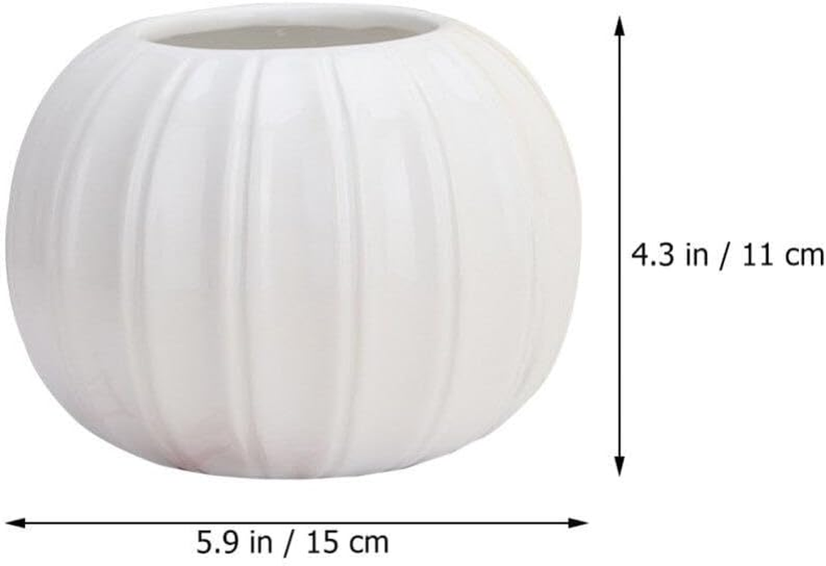 DECHOUS Succulent Planter Pots White Ceramic Pumpkin Vase Bubble Vase for Flower Arrangement Hydroponic Planter for Dried Flower image number 1