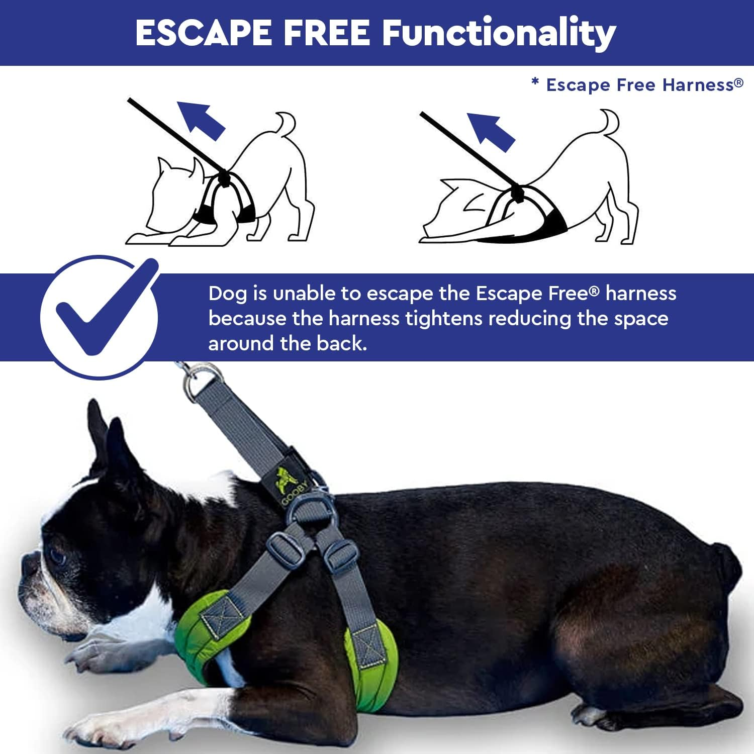 Gooby Escape Free Memory Foam Harness - Blue, Medium - No Pull Step-In Small Dog Harness with Four Point Adjustment - Perfect on the Go Dog Harness for Medium Dogs No Pull and Small Dogs image number 3