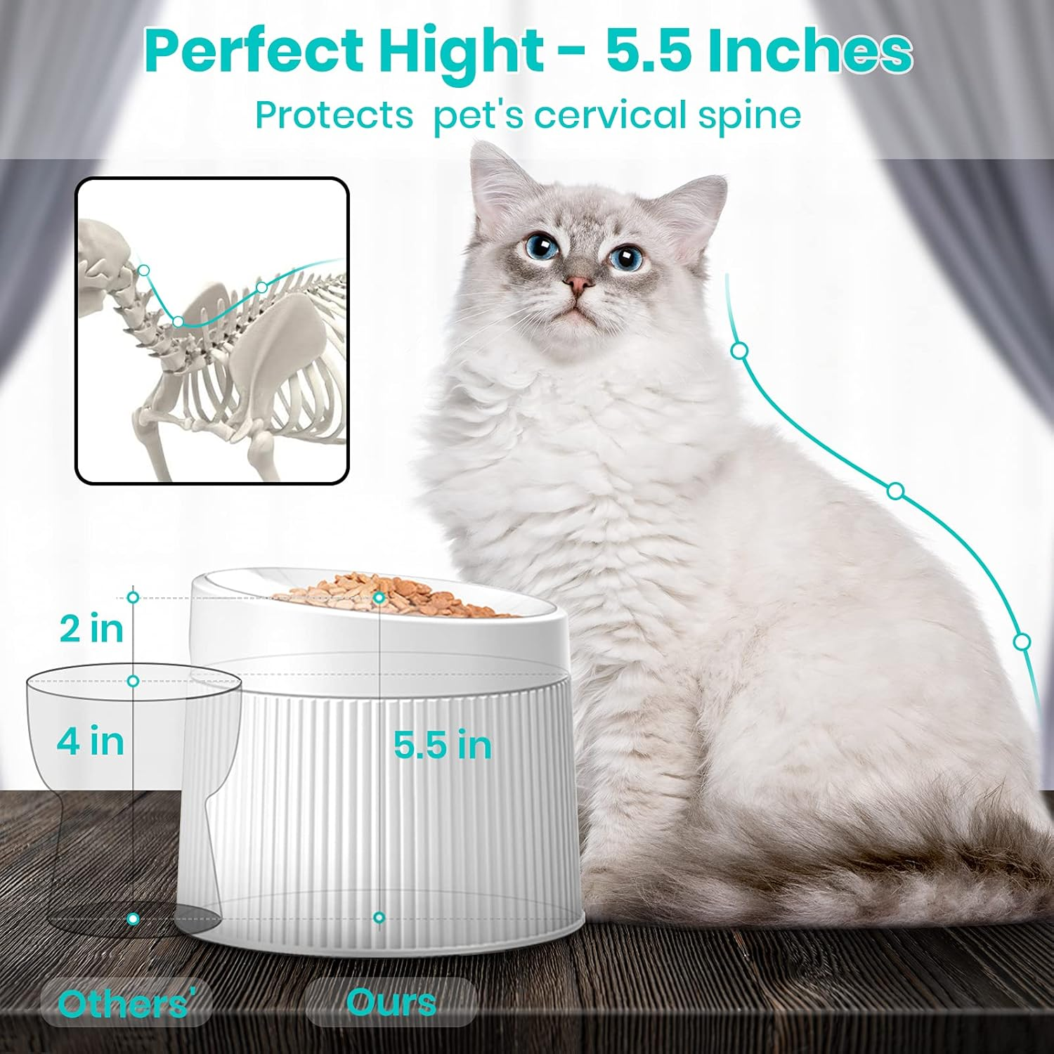Ipettie Elevated Cat Food Bowl Cat Dish, Tilted Pet Feeding Station with Stand for Small Dog, Made from Certified Food-Safe Plastics, Better than Stainless Steel and Ceramic