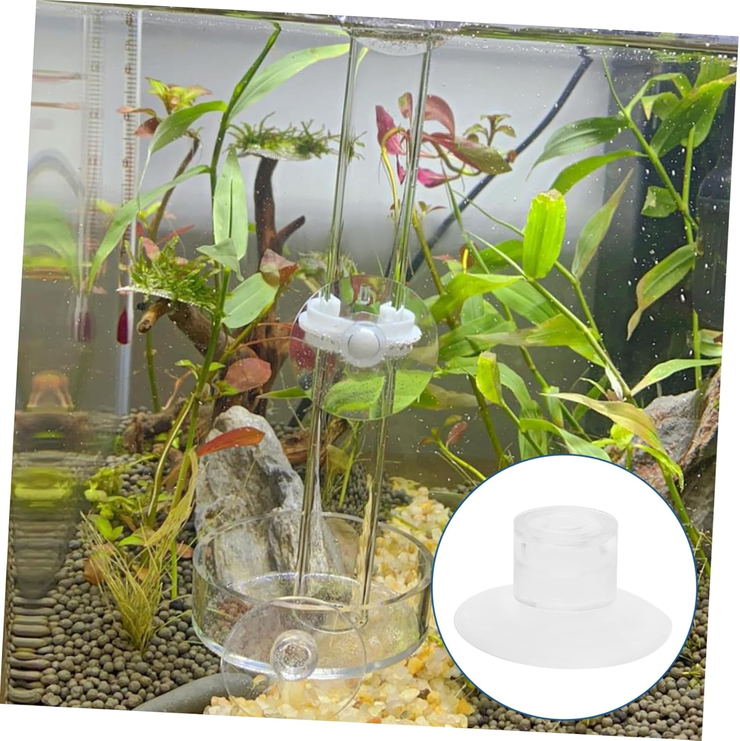 VANZACK 50Pcs Aquarium Feeder Cups for Fish Tank Holders for Easy Installation and Secure Feeding for Aquatic Plants and Decorations image number 1