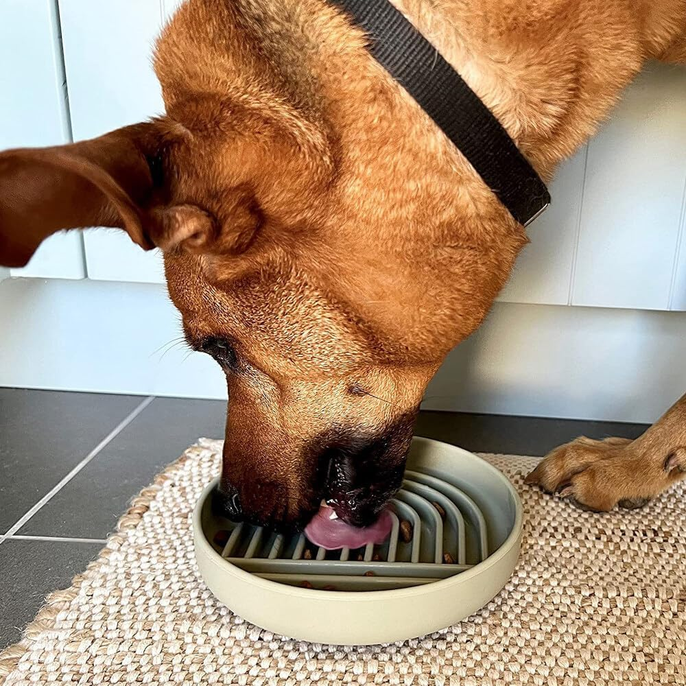 Hwtcjx anti Sling Bowl for Dogs and Cats, Slow Feeder, Lick Mat Dog with Large Suction Cup, Cat Licking Mat for Wet Food and Dry Food, with Cleaning Brush (Green)