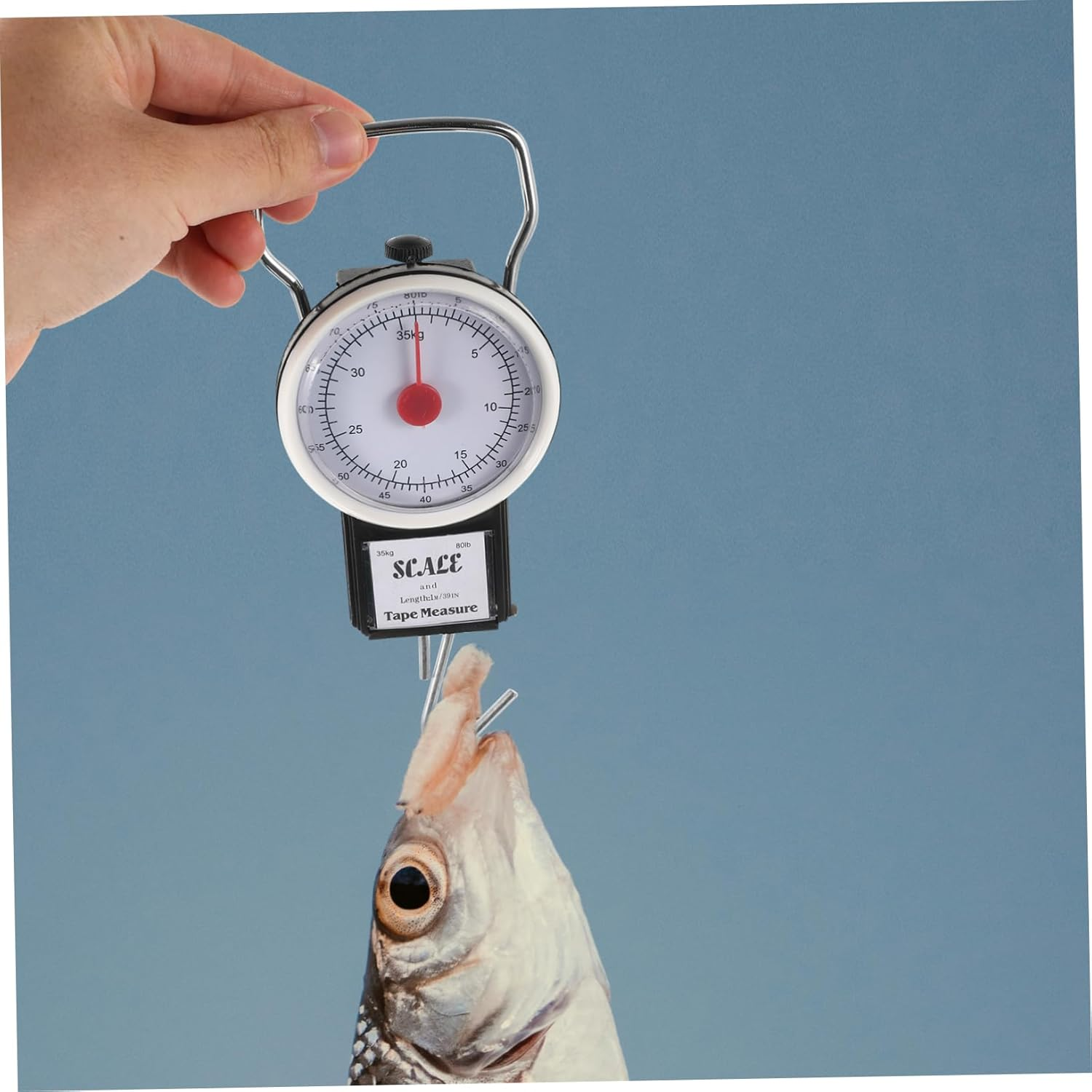 ROMISBABA Portable Luggage Scale Capacity Handheld Weight Scale for Luggage and Outdoor Use Compact Design for Accessory image number 1