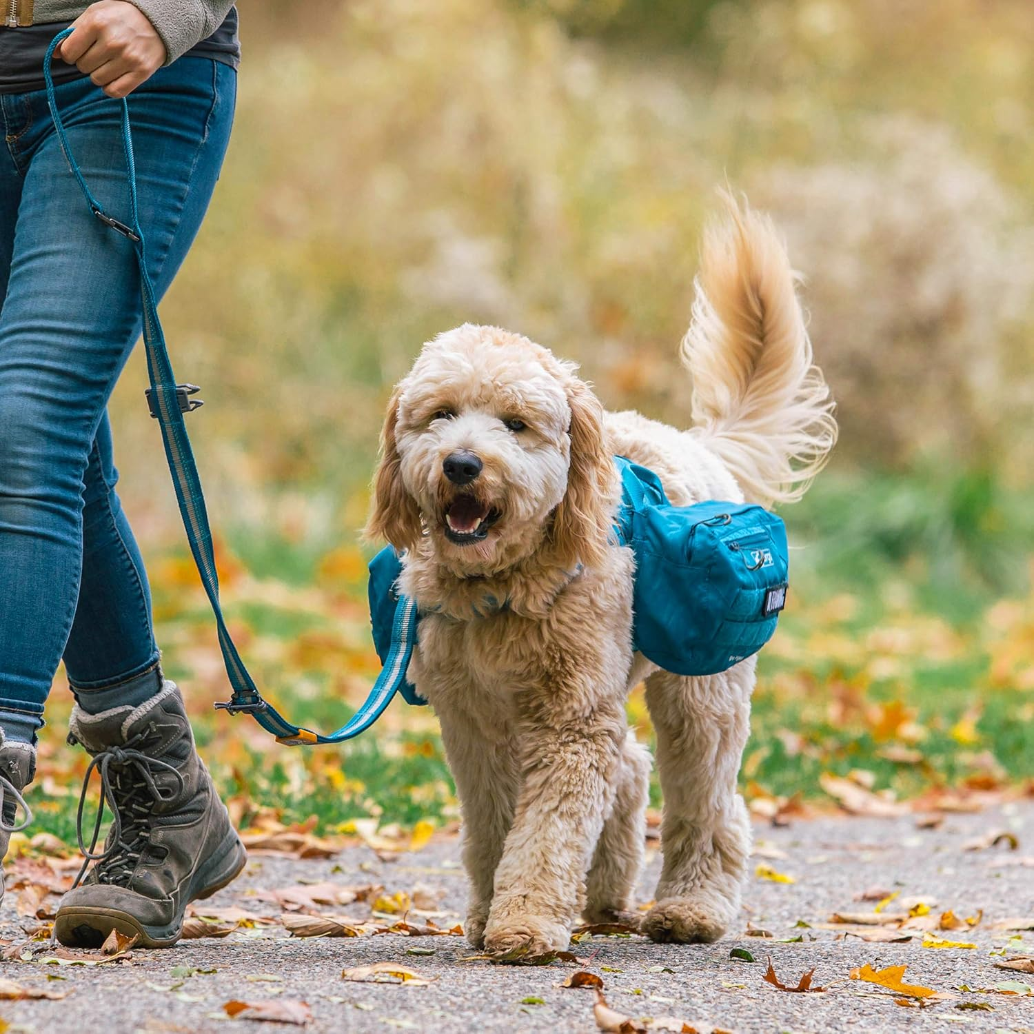 Kurgo Backpack Dog Harness Pack Add-Ons, Tactical MOLLE Pouch for Harnesses, Detachable Service Dog Pouches, RSG Pack Pannier (Coastal Blue) image number 4