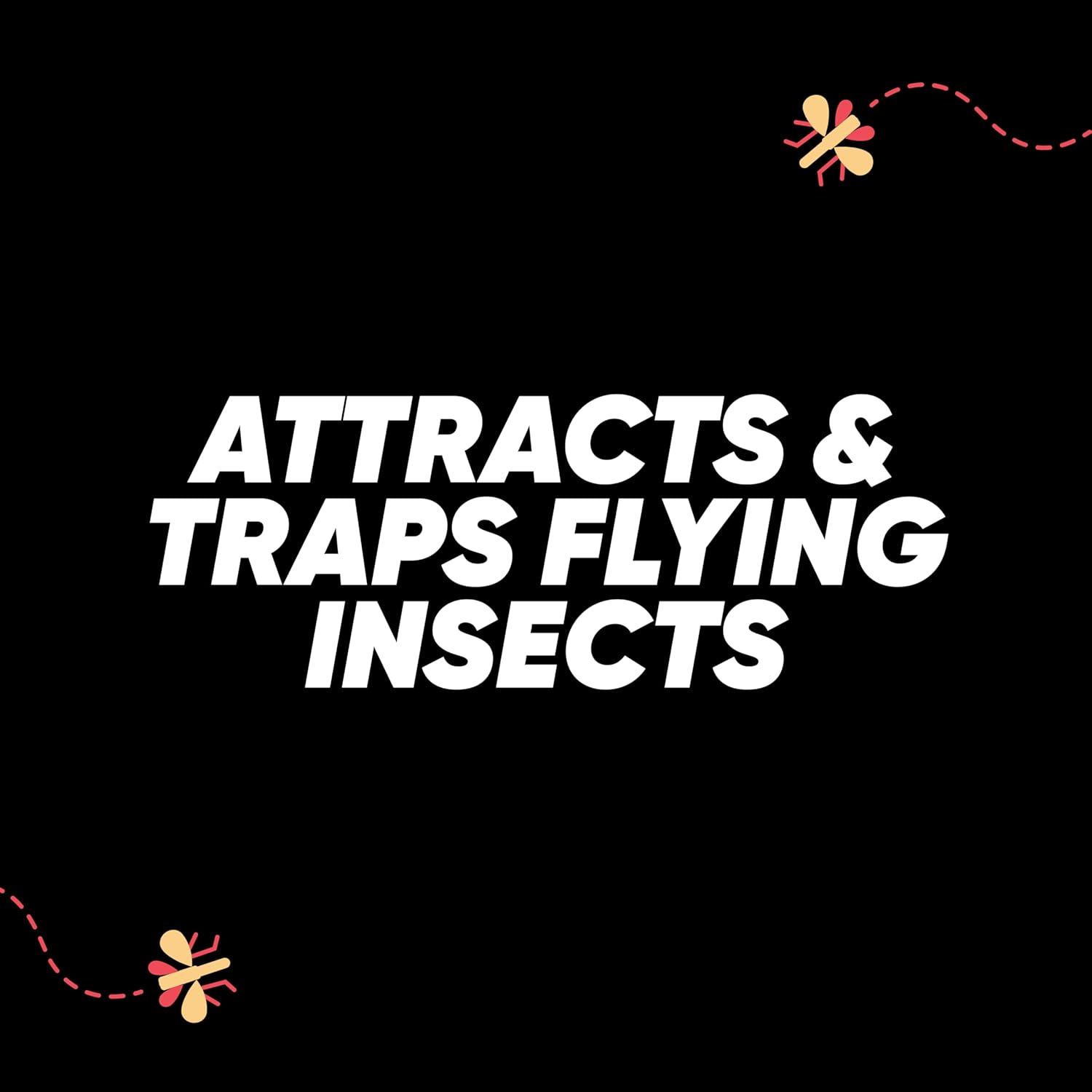 Raid Light Trap Refill Pack, 3 Refill Cards, Chemical Insectide Free and Pet Friendly