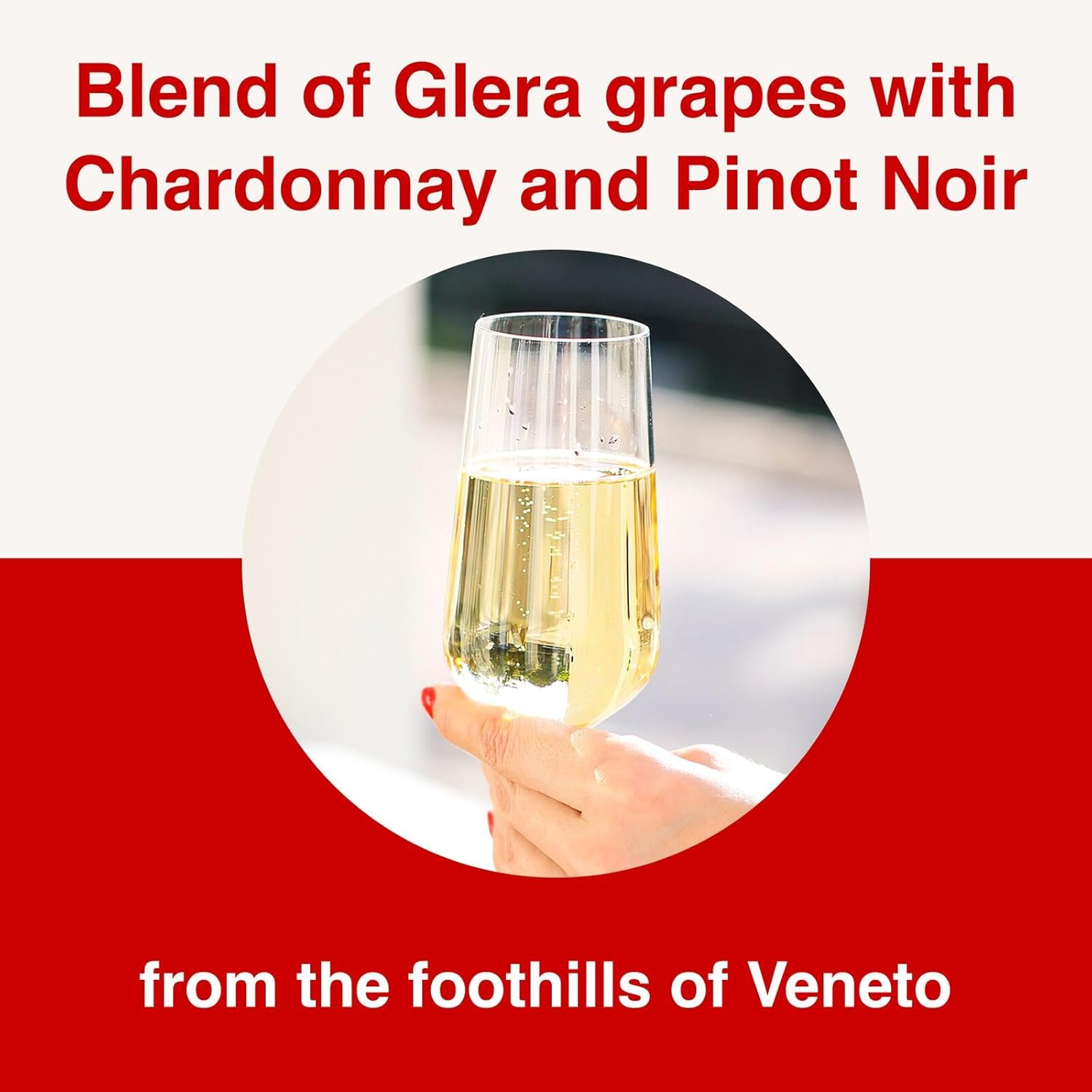 Martini Prosecco Sparkling Wine 750 Ml image number 3