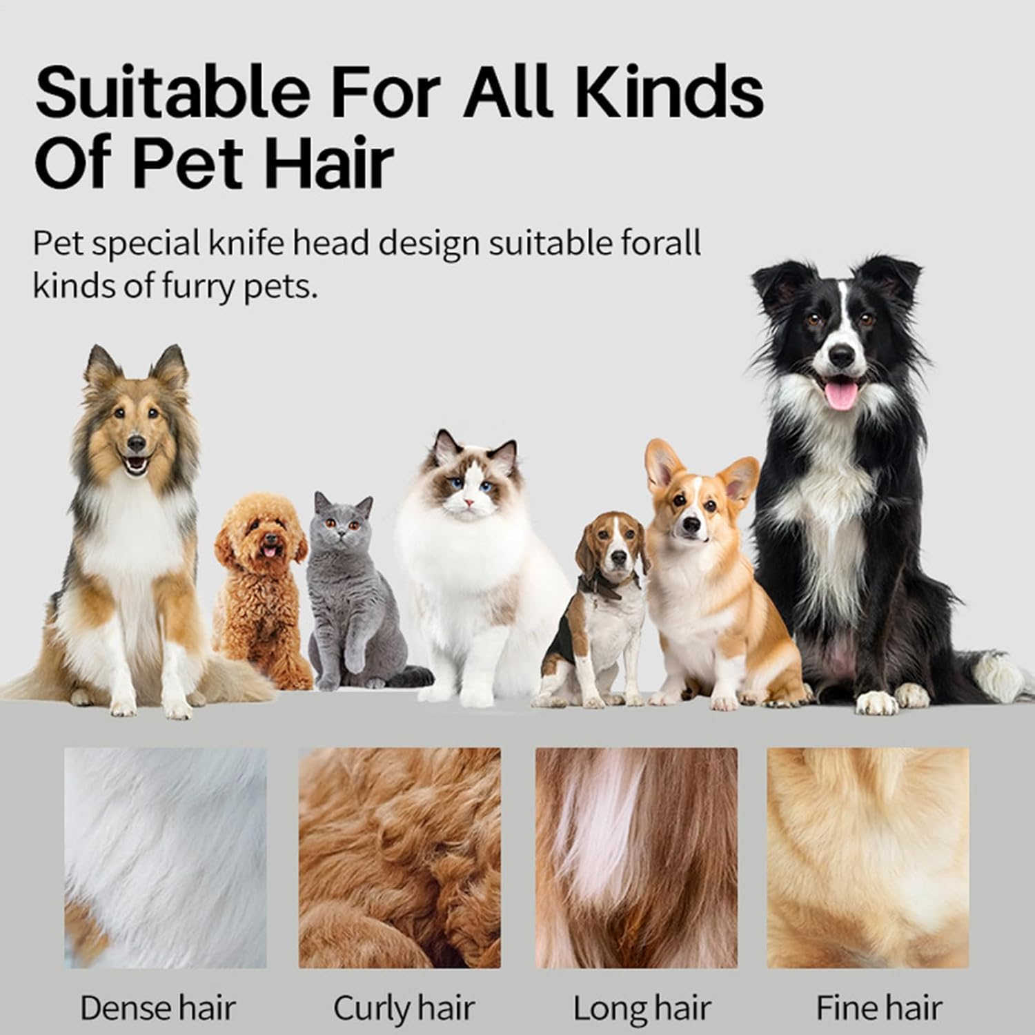 Pet Hair Clippers | Dog Shaver,Electric Quiet Cordless Grooming Kit Low Noise Trimmer Supplies for Cats Puppies Home Bath Time Ears Paws Face image number 5