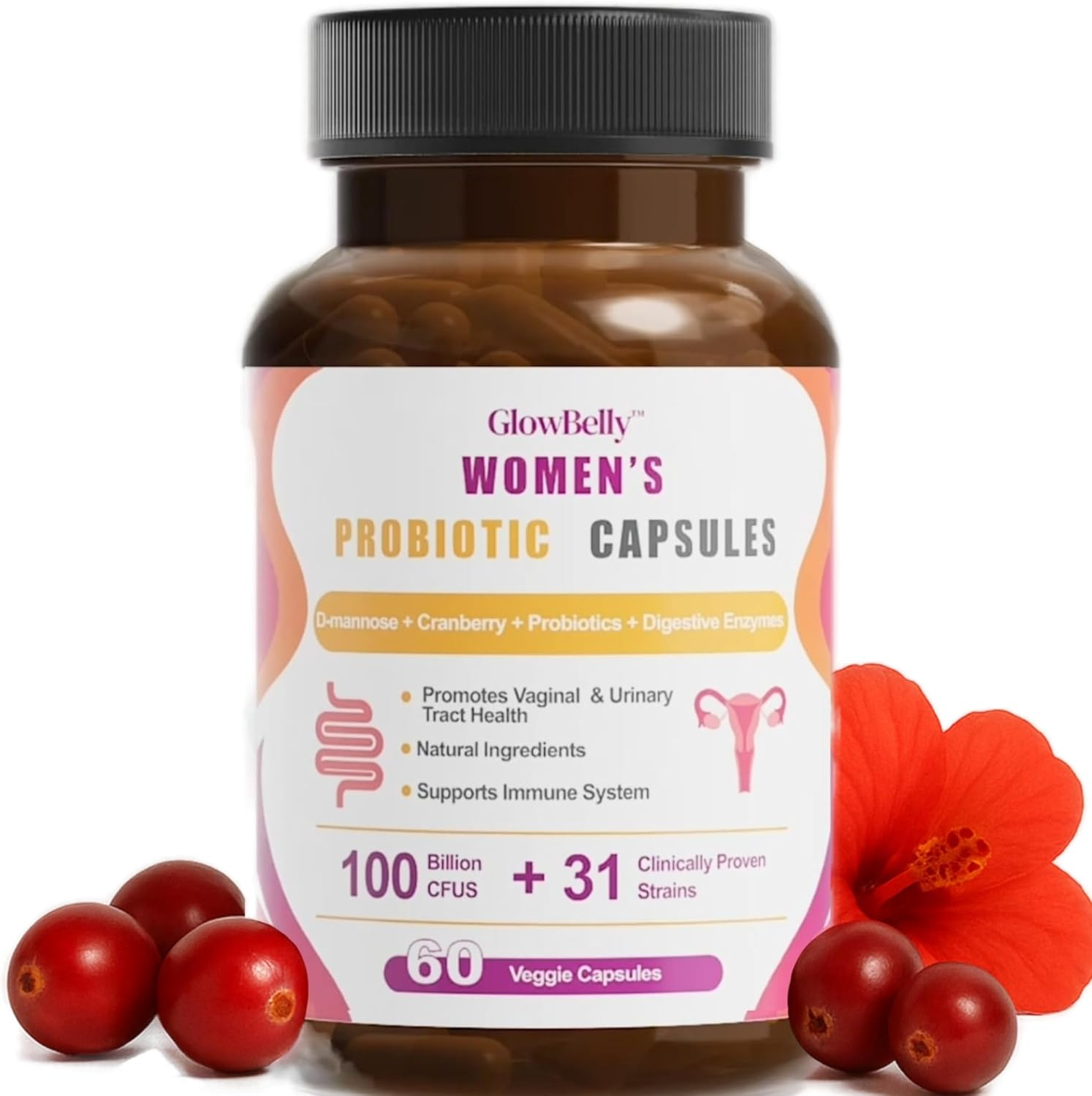Glowbelly Women&rsquo;S Probiotic | 100 Billion CFU | 31 Strain Broad-Spectrum Blend with Prebiotics, Digestive Enzymes, Cranberry & D-Mannose | Vegan | 60 Shelf-Stable Veggie Capsules image number 3