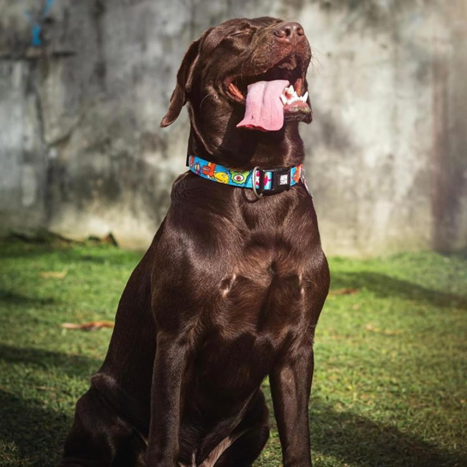 Max & Molly Smart ID Dog Collar with Gotcha! QR Safety Tag and Custom Pet Profile, Soft Padded Neoprene, Waterproof, Monsters, Large (15-25") image number 5