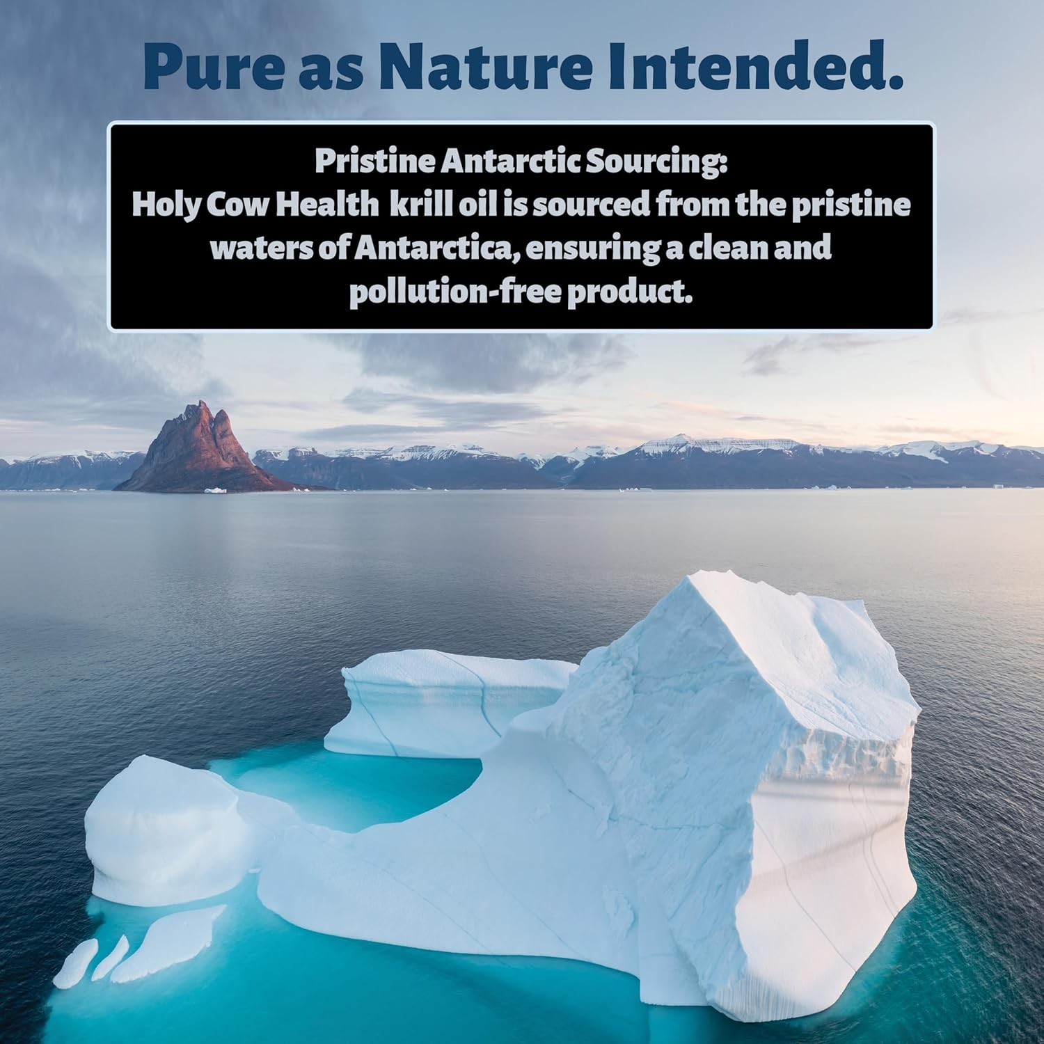 Krill Oil Capsules by Holy Cow Health - Extra Strength 1,500Mg Pure Omega-3 Red Krill Oil from the Antarctic Ocean - Optimised for Cellular Integration