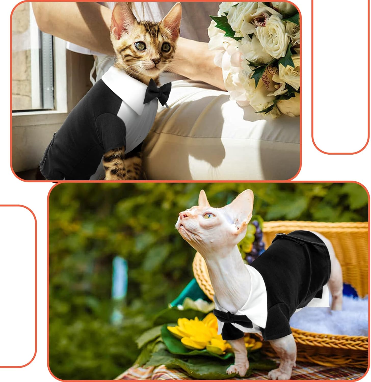 Cat Wedding Suit, Hairless Cat Tuxedo Formal with 2 Pieces Cat Collars with Bow Tie Shirt Cat Coat Wedding Costumes for Small Medium and Large Cats (Black, S) image number 2