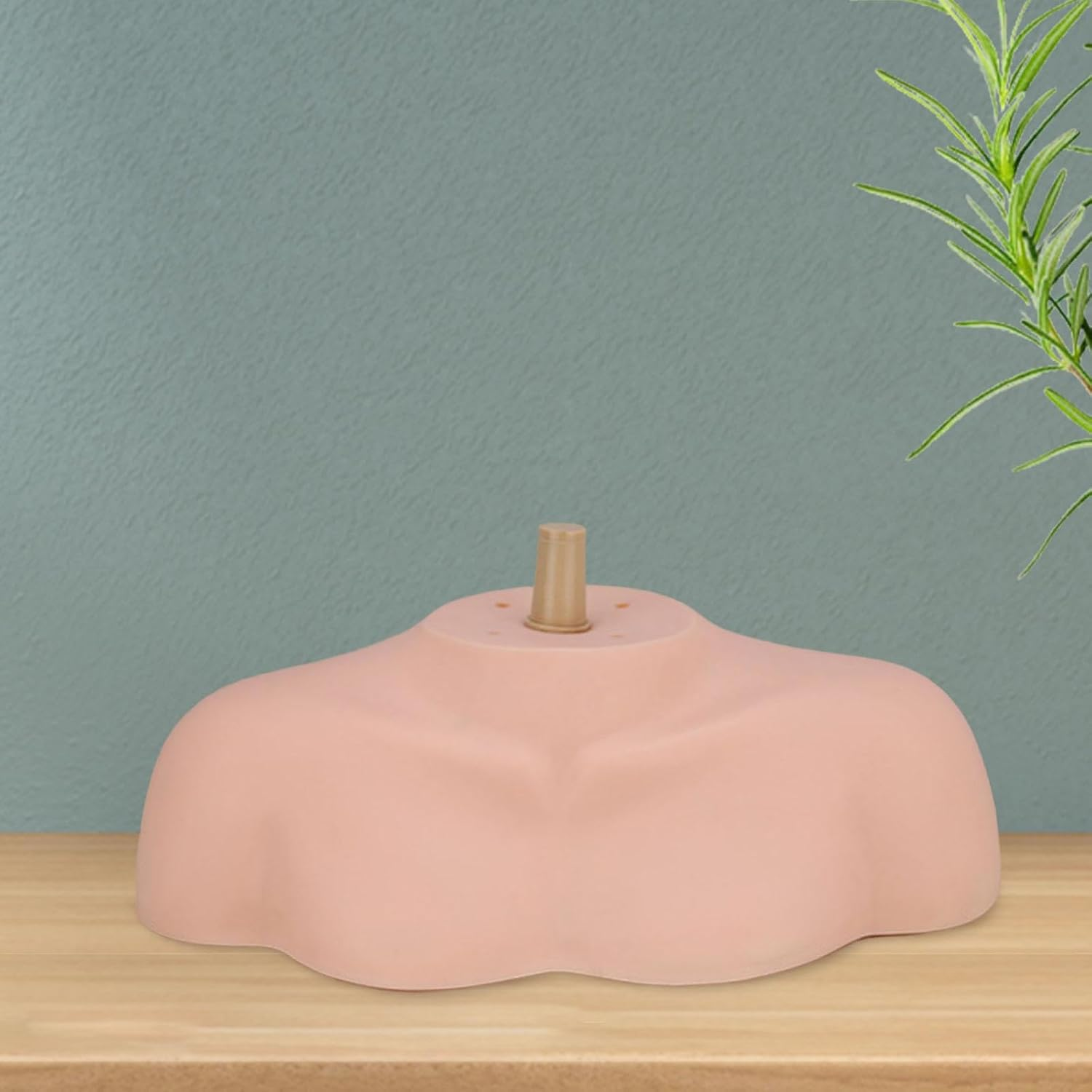 Eigell Shoulder Model,Mannequin Head Stand,Wig Stand,Wig Head Holder for Salon Settings, Home image number 3