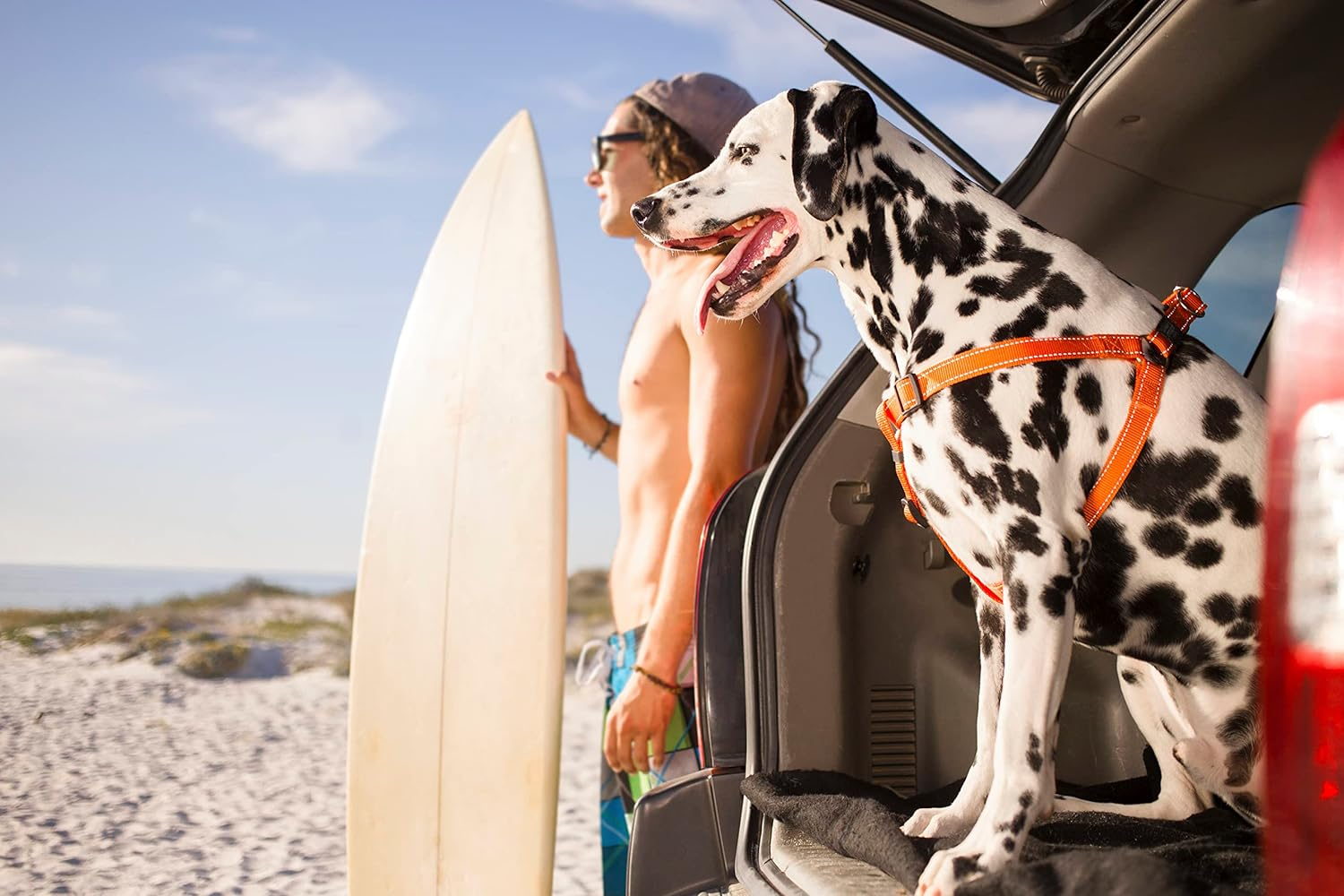 Rogz Utility Step-In Harness Fanbelt, Large, Black - Black image number 1