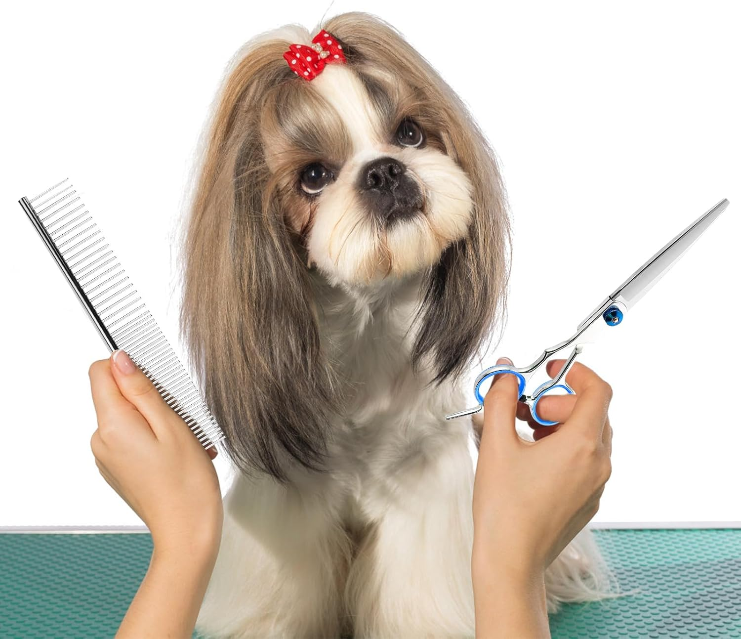 Dog Scissors, 5-In-1 Dog Scissors Set, Dog Shears, Curved, Stainless Steel Dog Grooming Set, with Steel Comb and Leather Case for Dogs, Cats, Pets image number 2