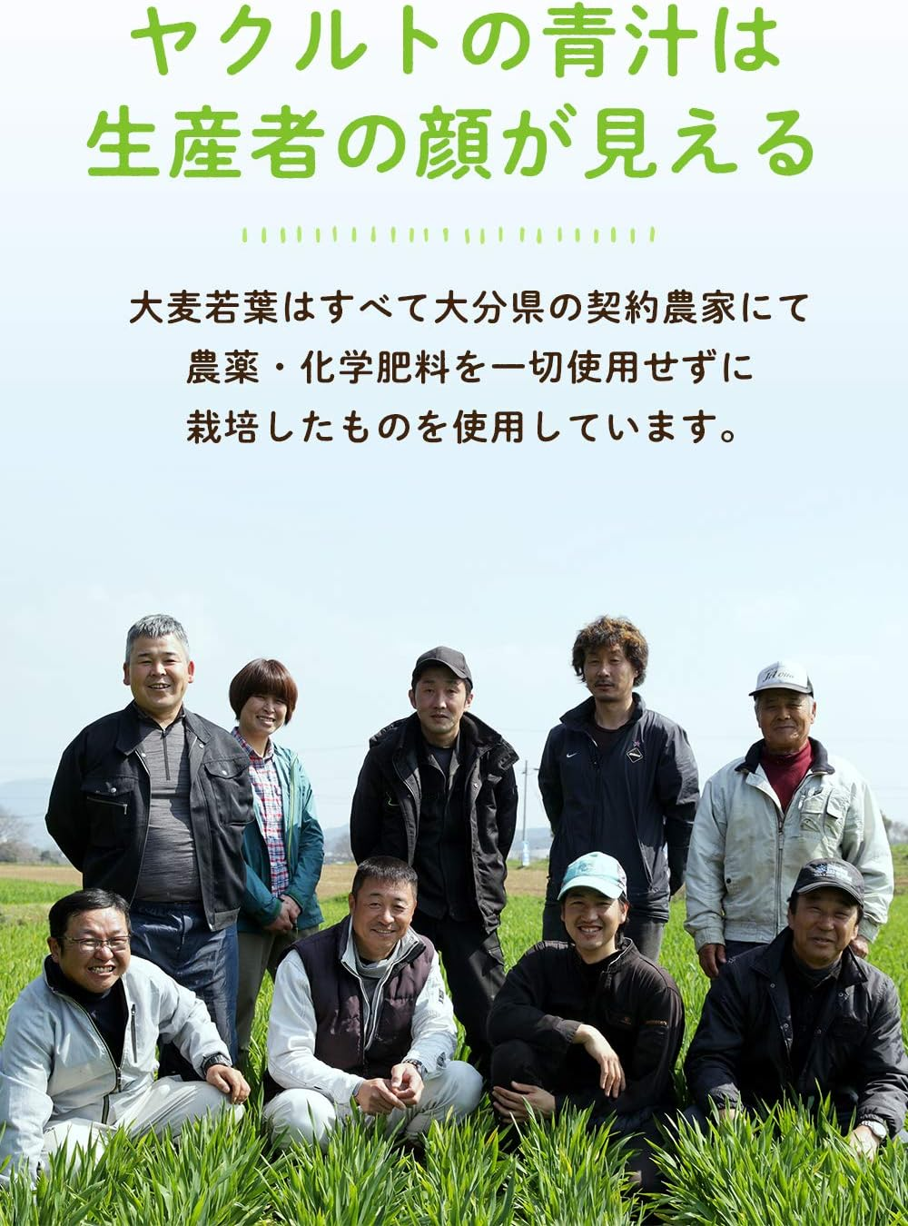 Yakult AOJIRU No Meguri (Ooita Young Barley Grass) | Powder Stick | 7.5G X 30 [Japanese Import]