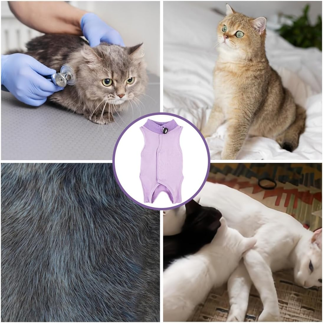 FMYODWU Post-Surgical Neutered/Neutered Cat Jersey, Cat Recovery Suit, Post-Surgical Cat Onesie, E-Collar Replacement for Dogs and Cats for Abdominal Wounds or Skin Disease (M, Purple) image number 4
