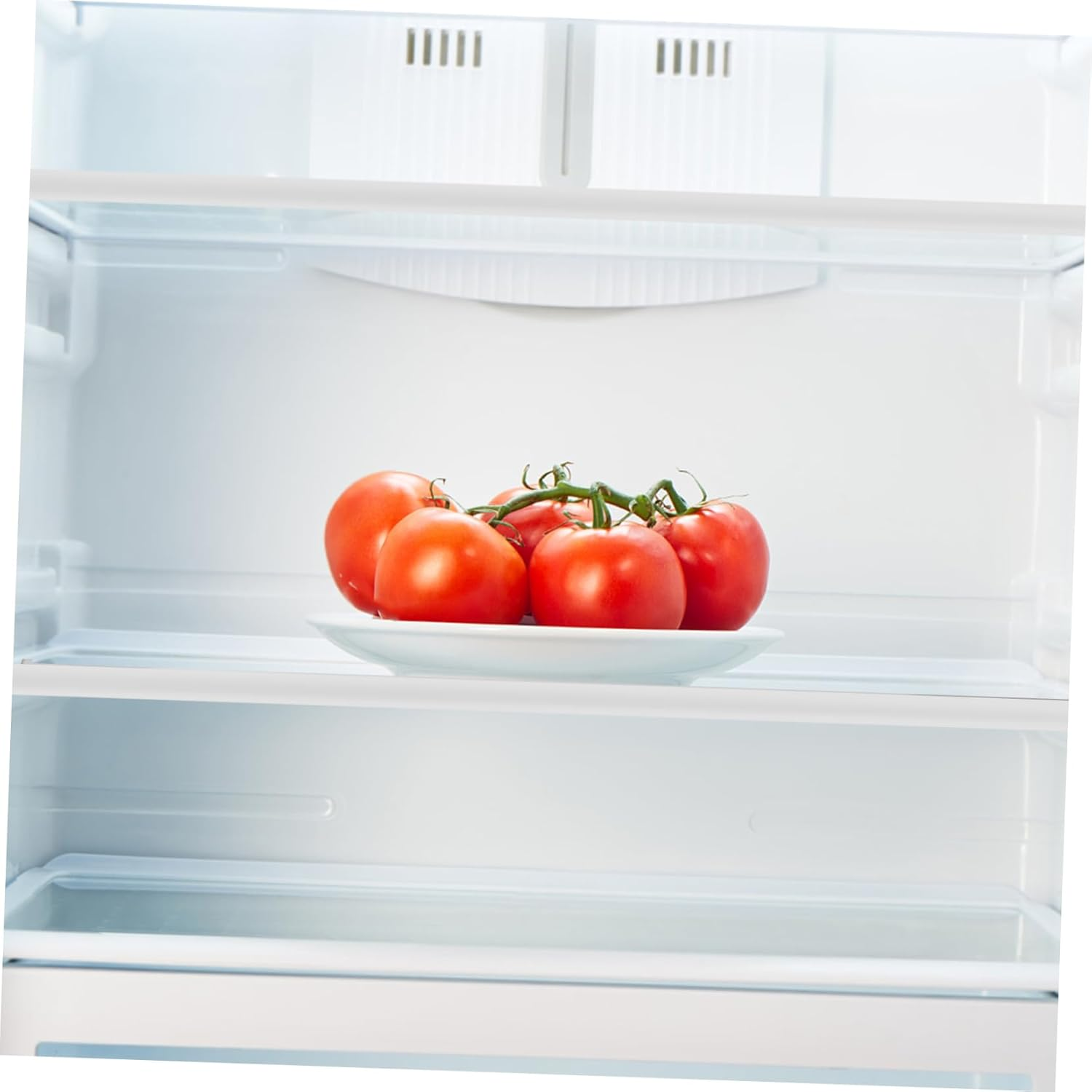 TEHAUX Tempered Glass Fridge Shelf Replacement Board 300X300Mm Refrigerator Glass Insert Tray for Freezer Storage Organizer Refrigerator Accessory image number 4