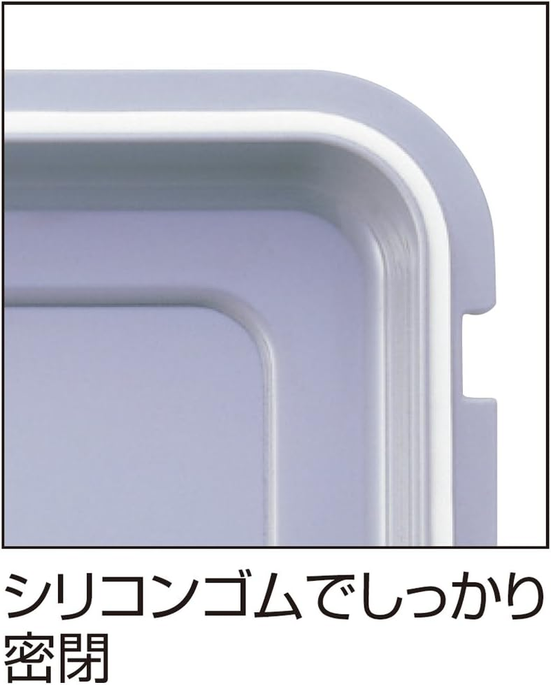 Nakabayashi DB-11L-N Capacati Dry Box, Moisture-Proofing, Camera Storage, 3.1 Gal (11 L) Gray image number 4