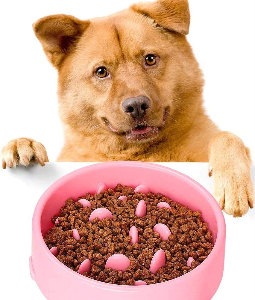GIGIIS Slow Eating Bowl, 1 Piece, Interesting Interactive Dog Bowl, Slow Feeding, Dog Bowl, Pink Anti-Sling Bowl for Slower Food Absorption for Dogs or Cats image number 4