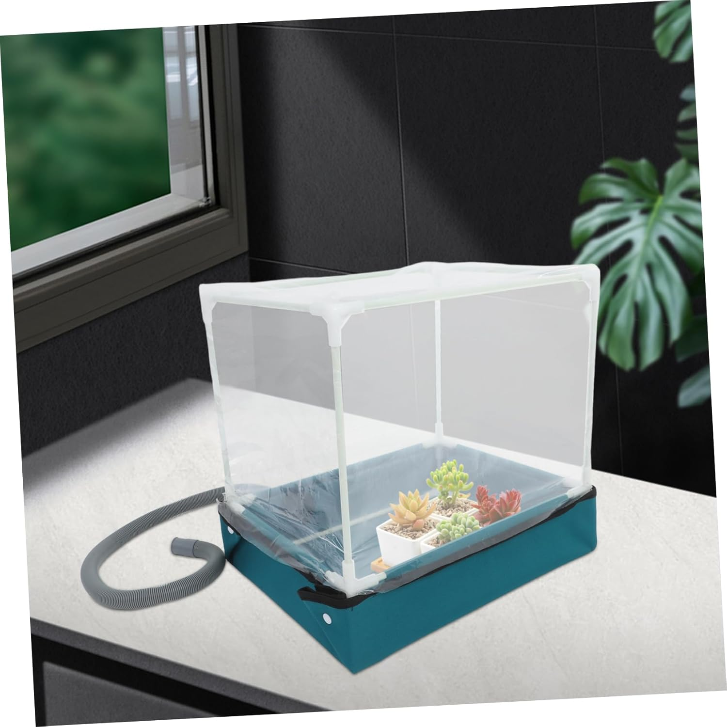 Succulent Planting Box Mini Greenhouse Indoor Plant Container Tabletop Plant Shelter Mushroom Fruit Cultivation Supplies image number 1