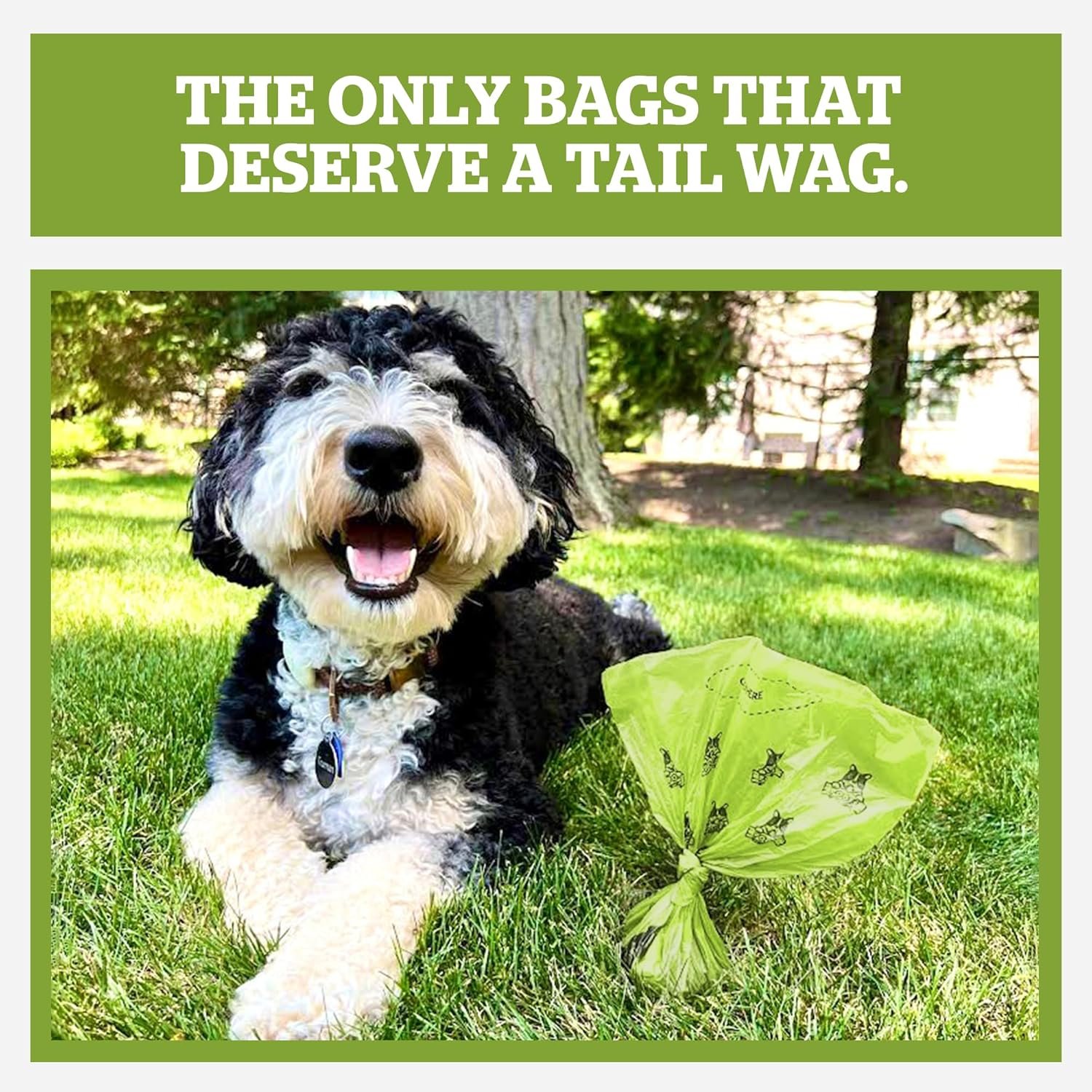 Pogi&rsquo;S Poop Bags - 30 Unscented Rolls (450 Bags) - Earth-Friendly, Leak-Proof Pet Waste Bags image number 3