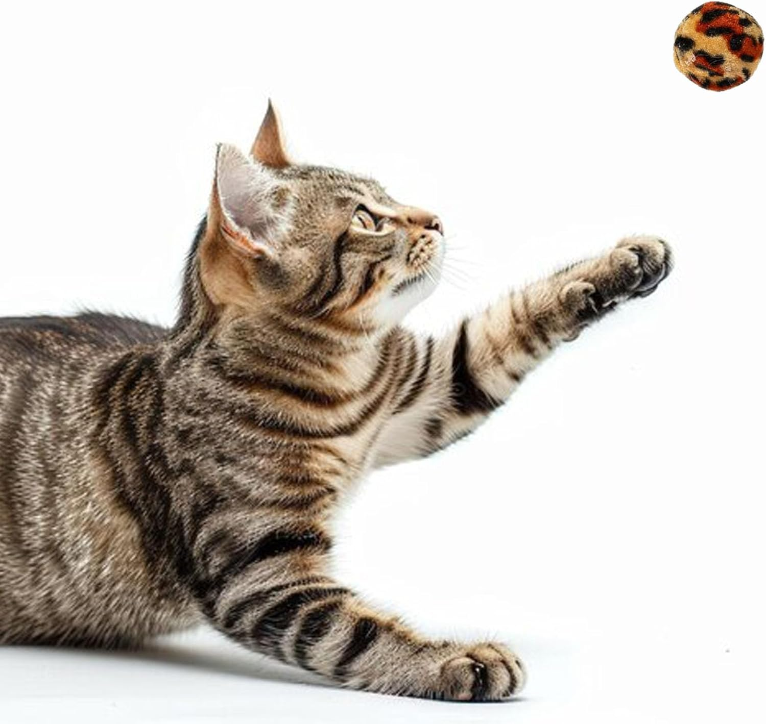 Cat Toys Set, 25 Pcs Kitten Toys for Indoor Cats, Interactive Feather Teaser, Fluffy Mouse, Crinkle Balls, Bells image number 6