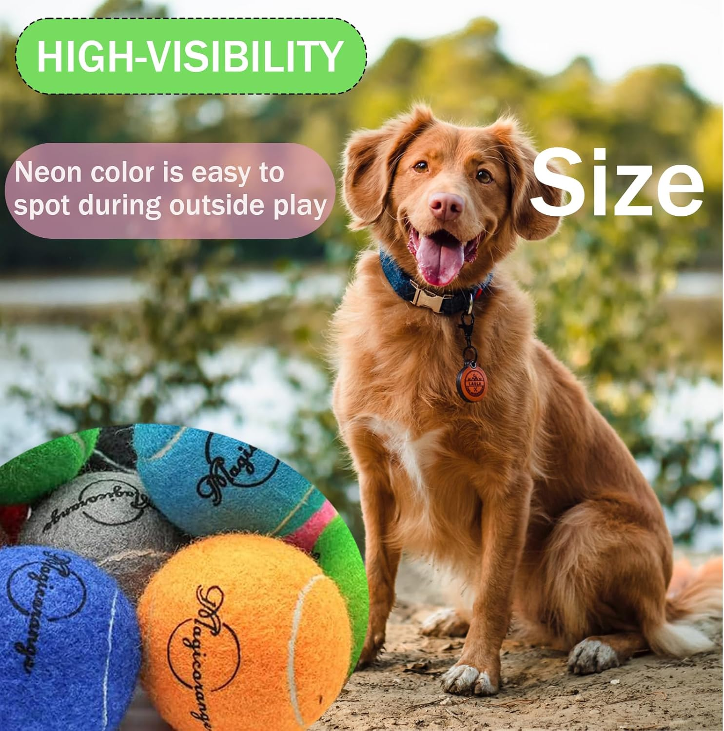 Magicorange Tennis Balls, 20 Pack Tennis Balls for Dogs, Pet Dog Playing Balls, Come with Mesh Bag for Easy Transport, Colorful Easy Catching Pet Dog Balls (Multi-Color)