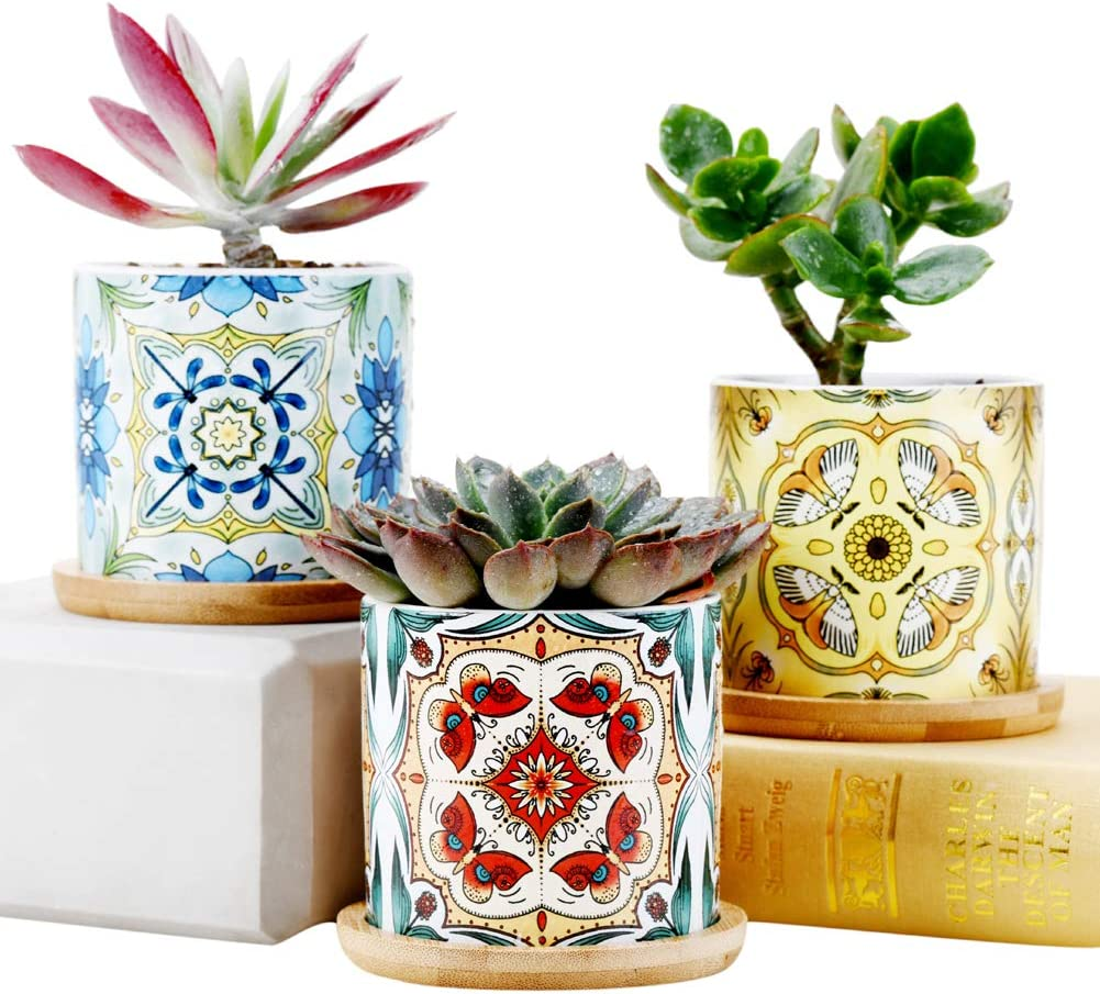 Sun-E Plants Succulent Pots Cactus Pot Mini Plant Planters Decorative Ceramic Planter Gift Idea Indoor Flower Pots with Drainage Home Office Decorations Dragonfly-Butterfly -Moth Series 3PCS