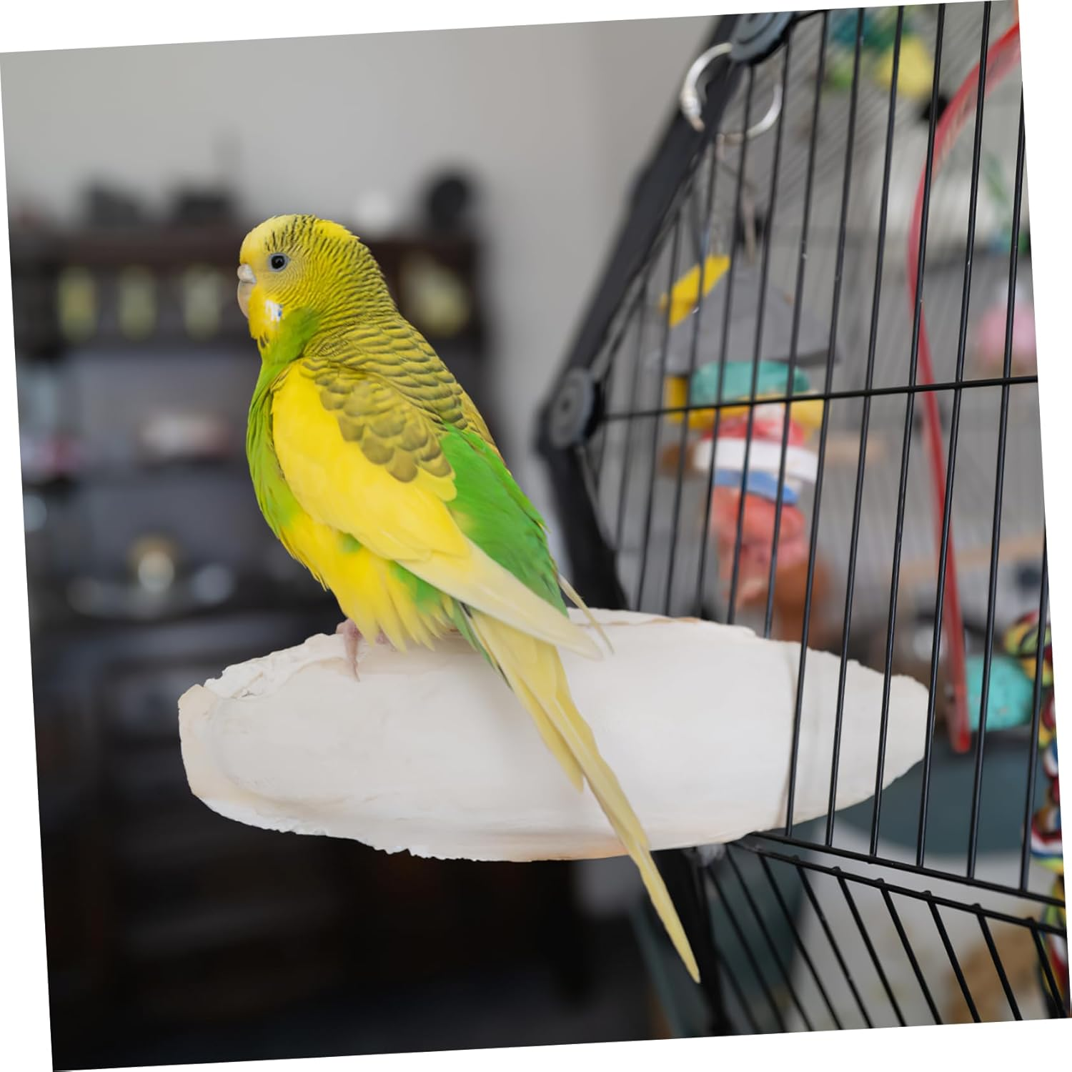 Luxshiny 6 Pcs Natural Cuttlefish Bone Chewing for Birds Safe Polished Bird Cage Accessories for Cockatiels Parrots Promotes Healthy Beak Development image number 5