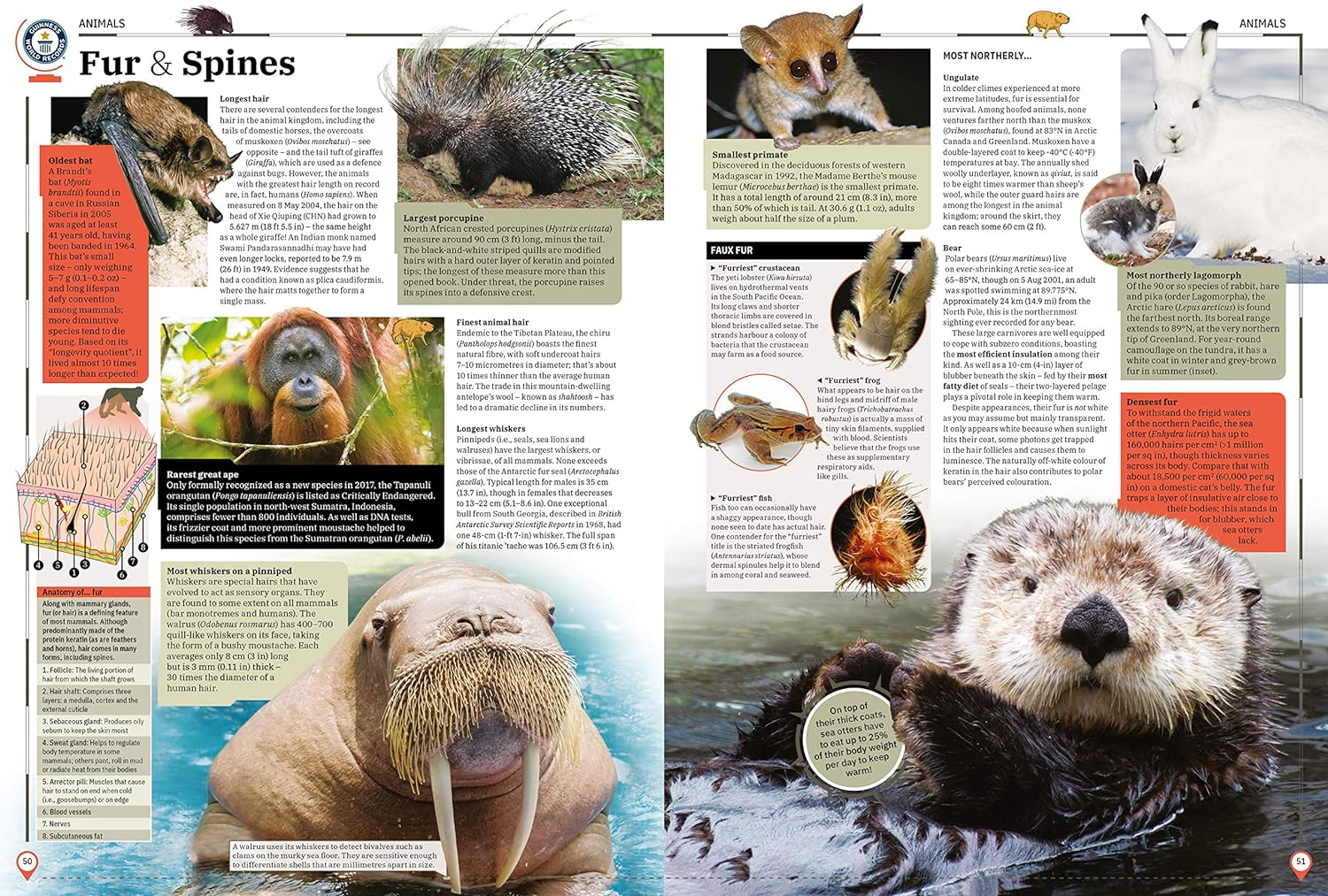 Guinness World Records 2021 image number 3