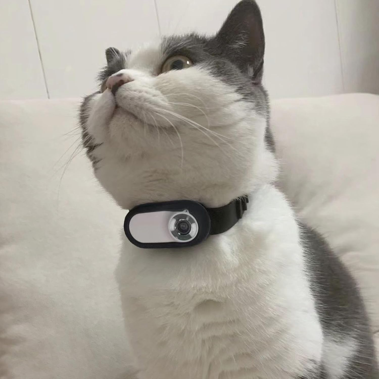 Annadue Cat Camera Collar for GO3, Adjustable Silicone Bracelet, Dog Collar, Camera for Dogs, Cats, Indoor/Outdoor