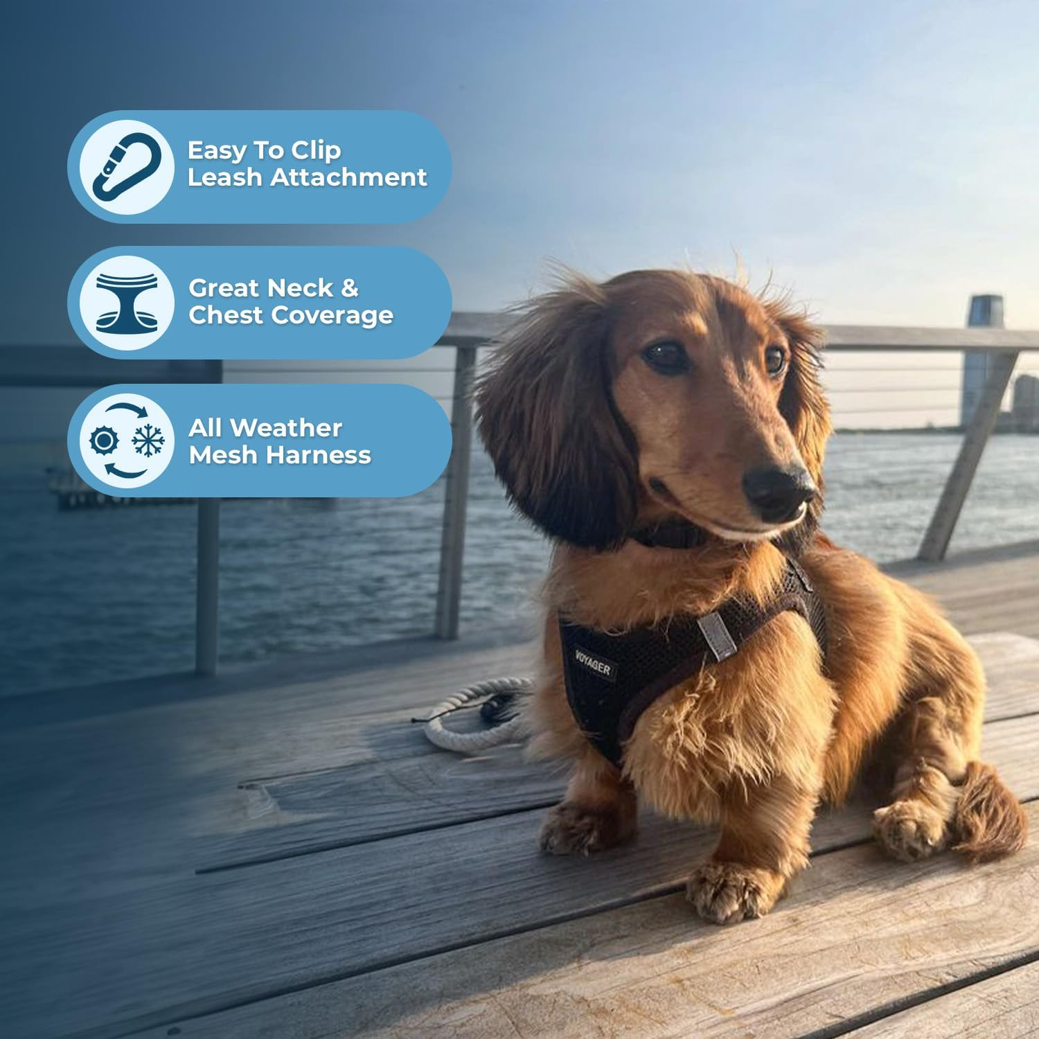 Best Pet Supplies, Inc. Voyager Step-In Air Dog Harness - All Weather Mesh, Step in Vest Harness for Small and Medium Dogs image number 1