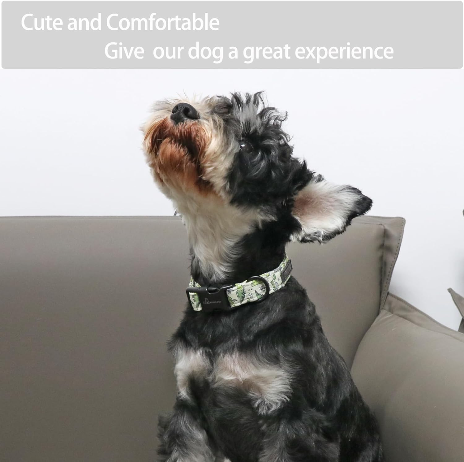ARING PET Dinosaur Dog Collar-Cute Dog Collar for Small Dogs, Adjustable Comfortable Cotton Boy Dog Collars for Small Medium Large Dogs, Small image number 2